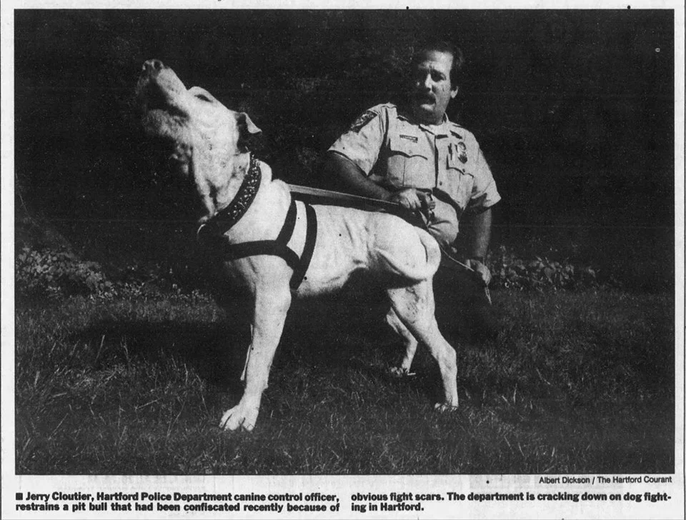 Jerry with pit bull