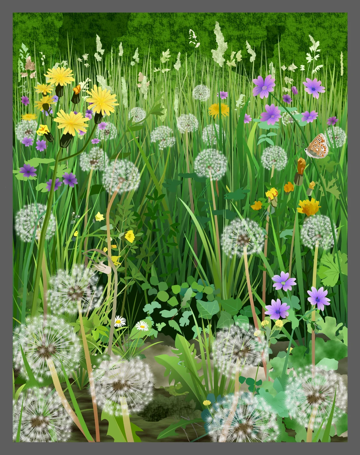 Dandelions and Cranesbill