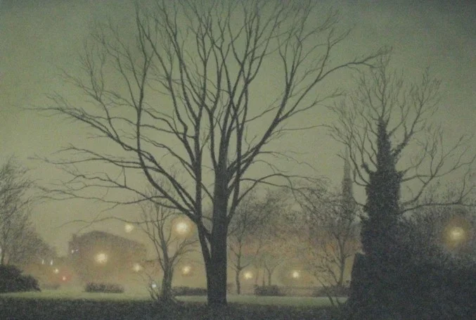 Winter Night on the Sue Godfrey Nature Park