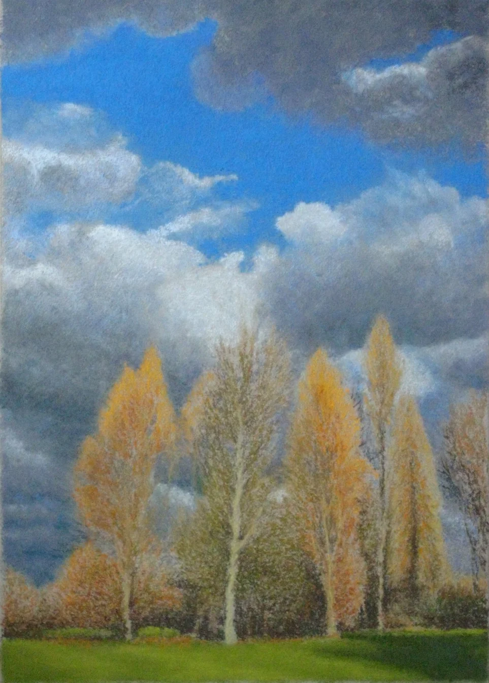 Autumn Trees Cray Meadows