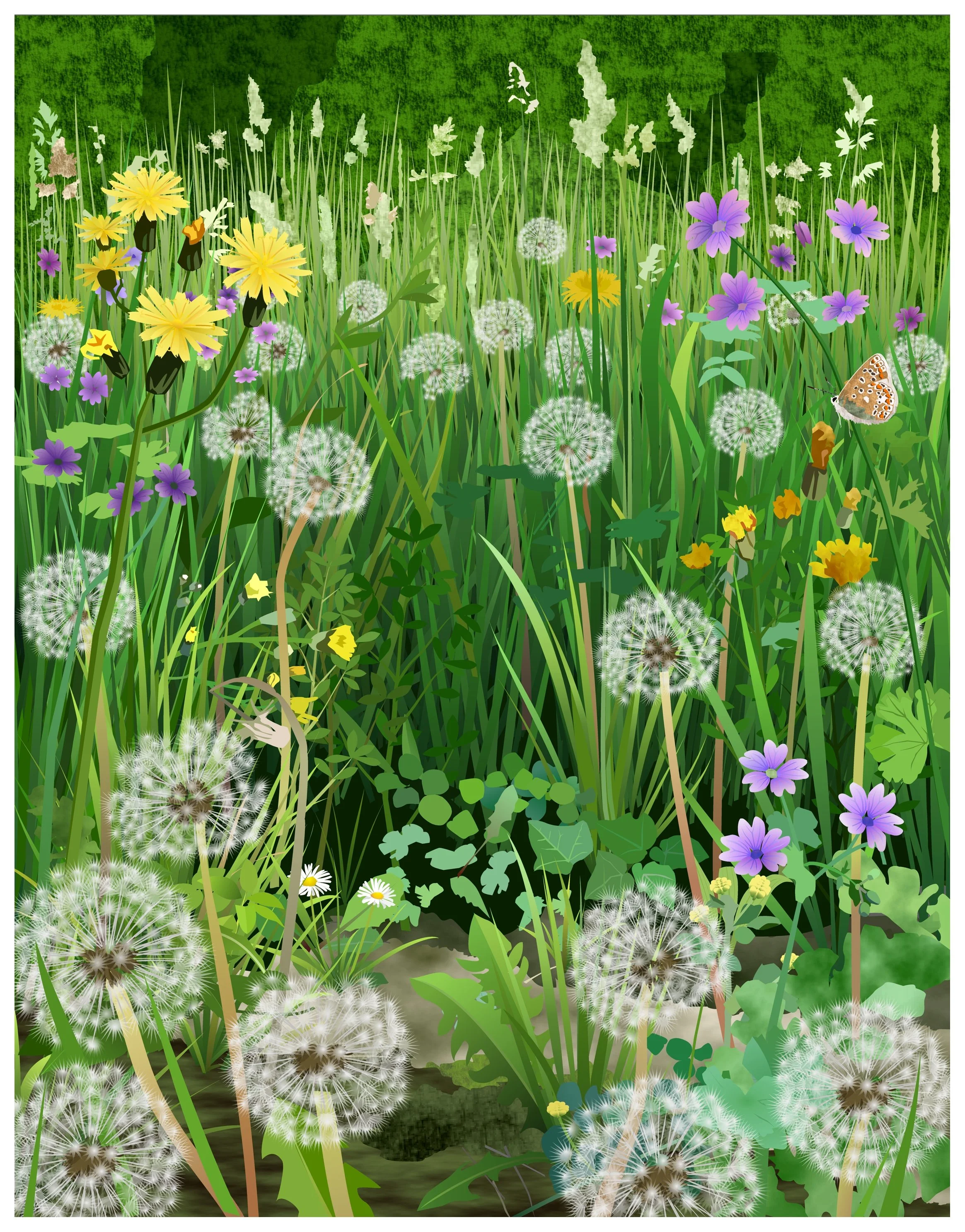 Cranesbill and Dandelion