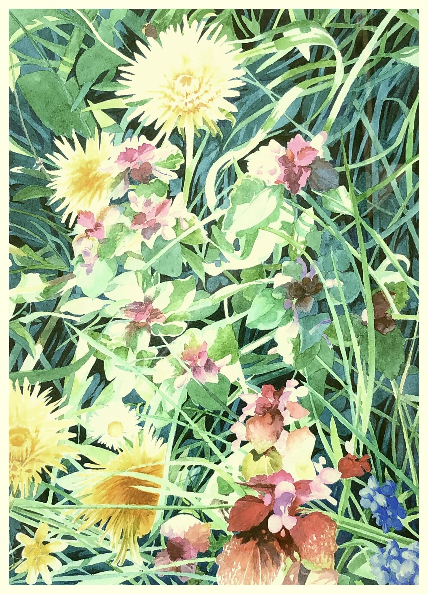 Dandelion and Red Deadnettle