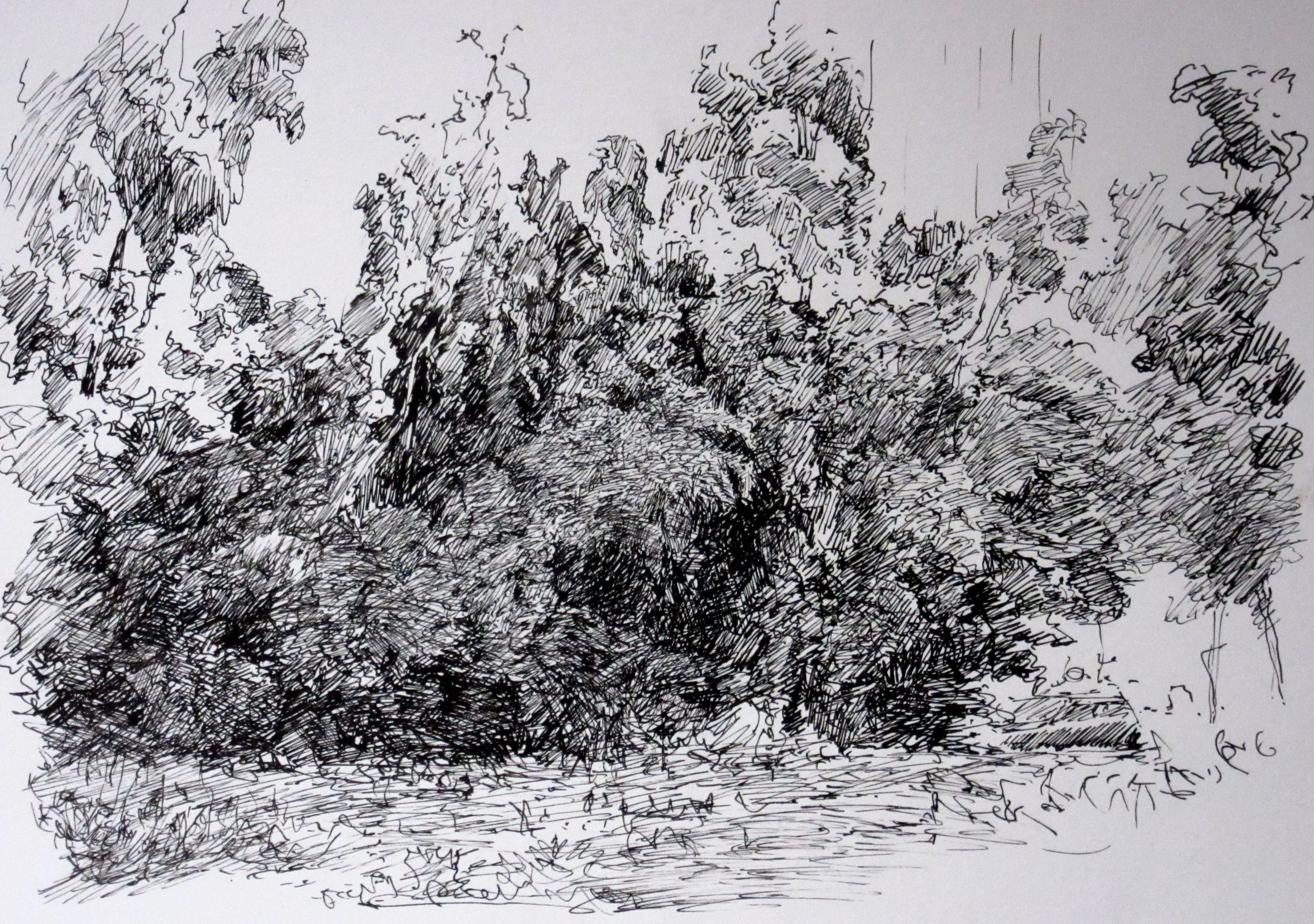 Rhythm of trees3 S Godfrey Park 2020.jpg