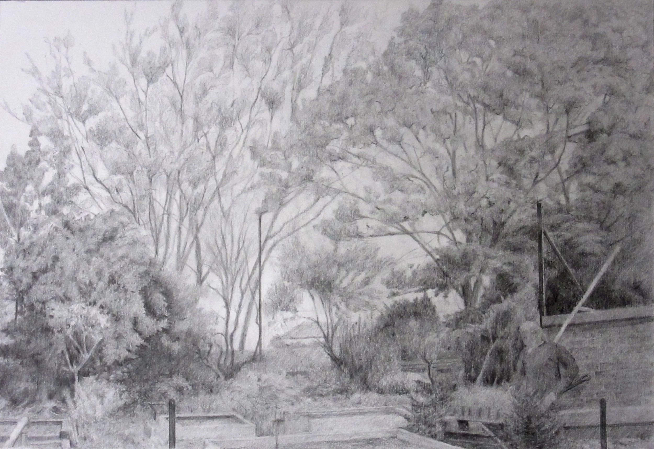 view west from s godfrey garden.jpg