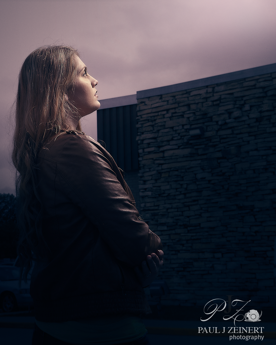 Portrait when its about to rain.png