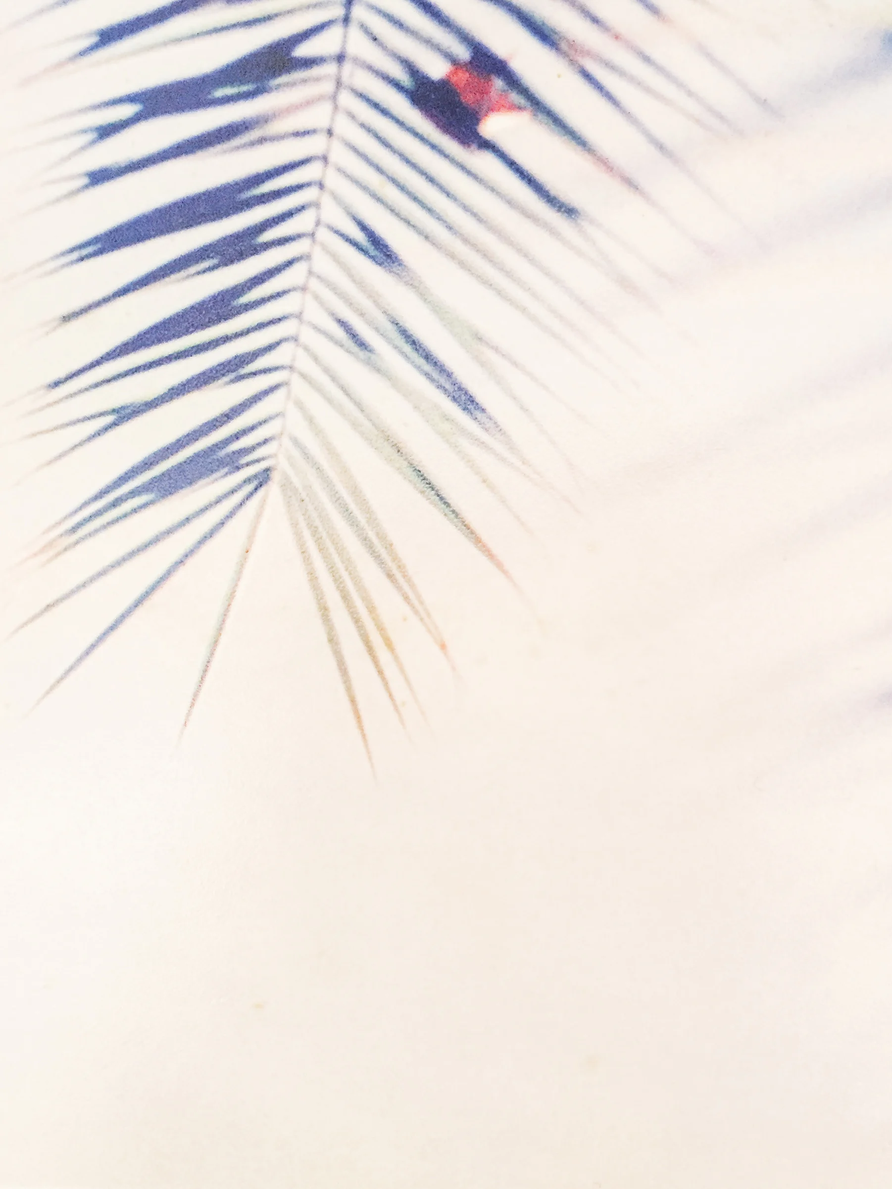 Jardin du Luxembourg