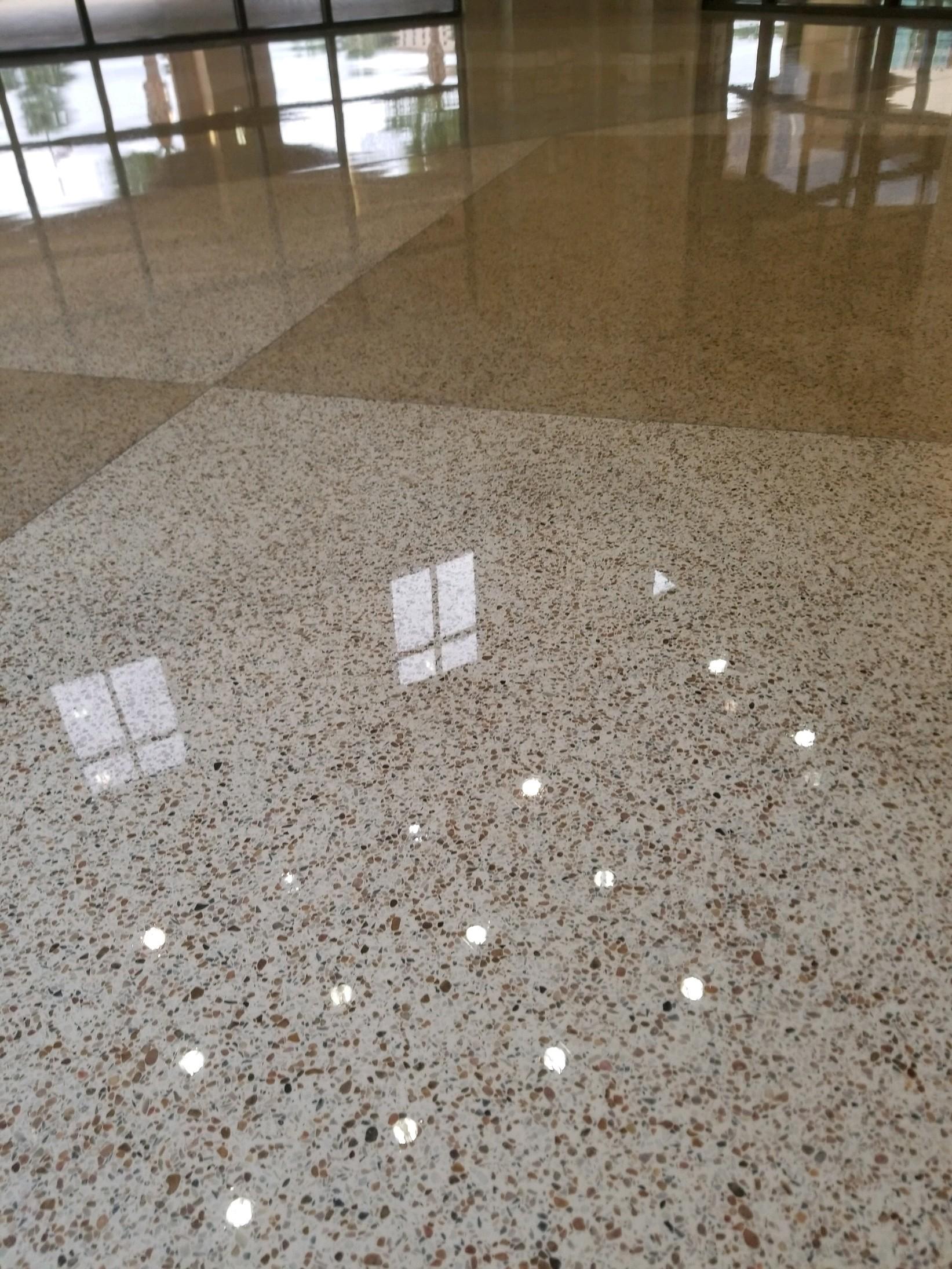 medama terrazzotexas.jpeg