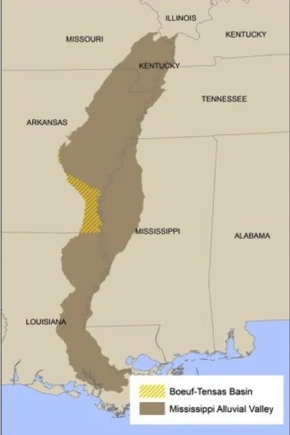 Boeuf-Tensas%252B%252528AR%252529%252BHGM.jpg