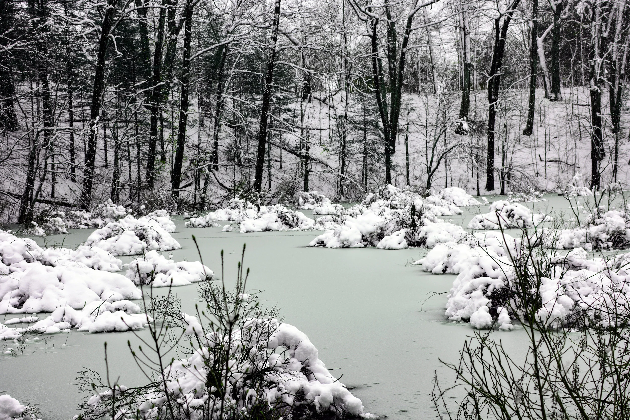 Frozen