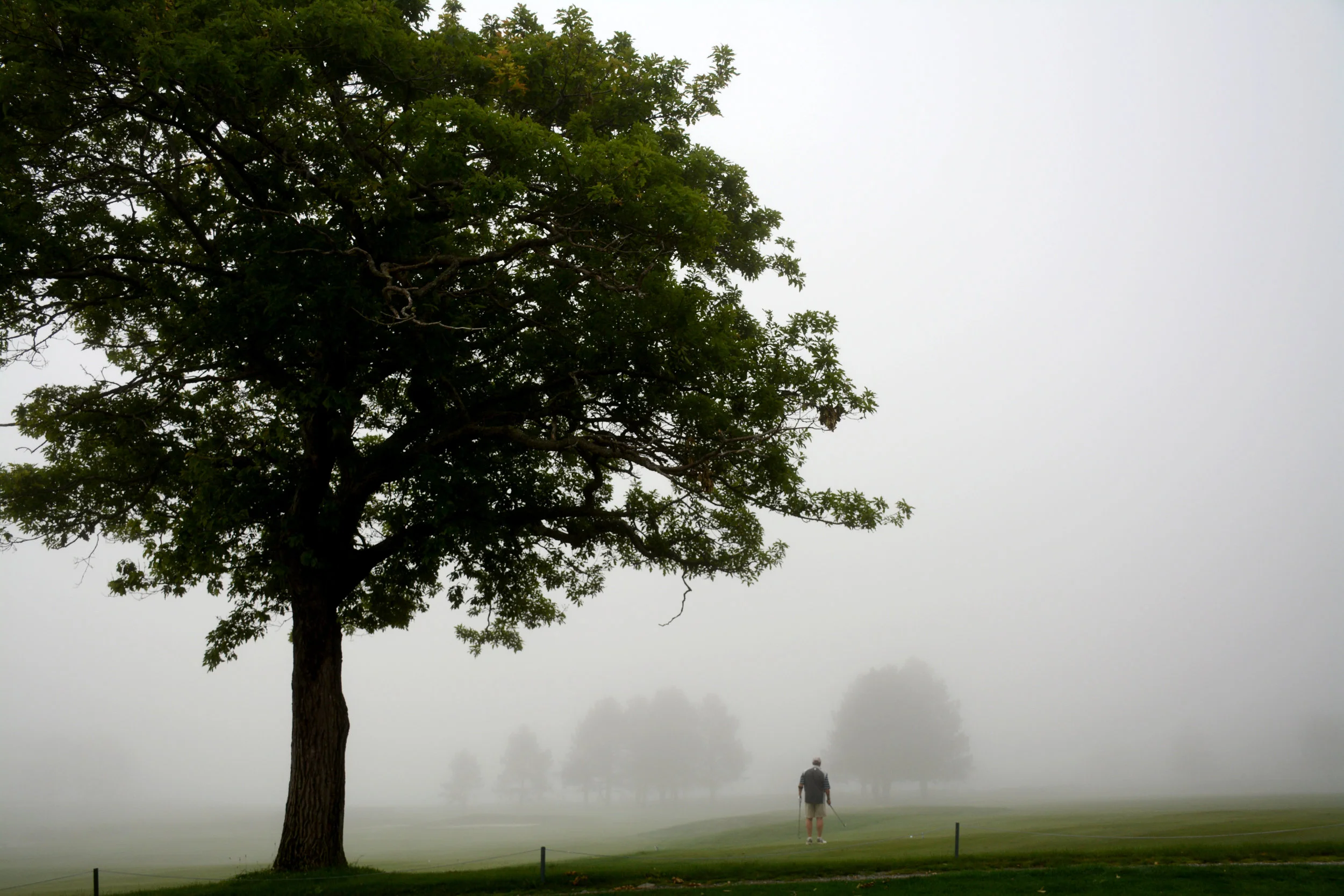 Lone Golfer