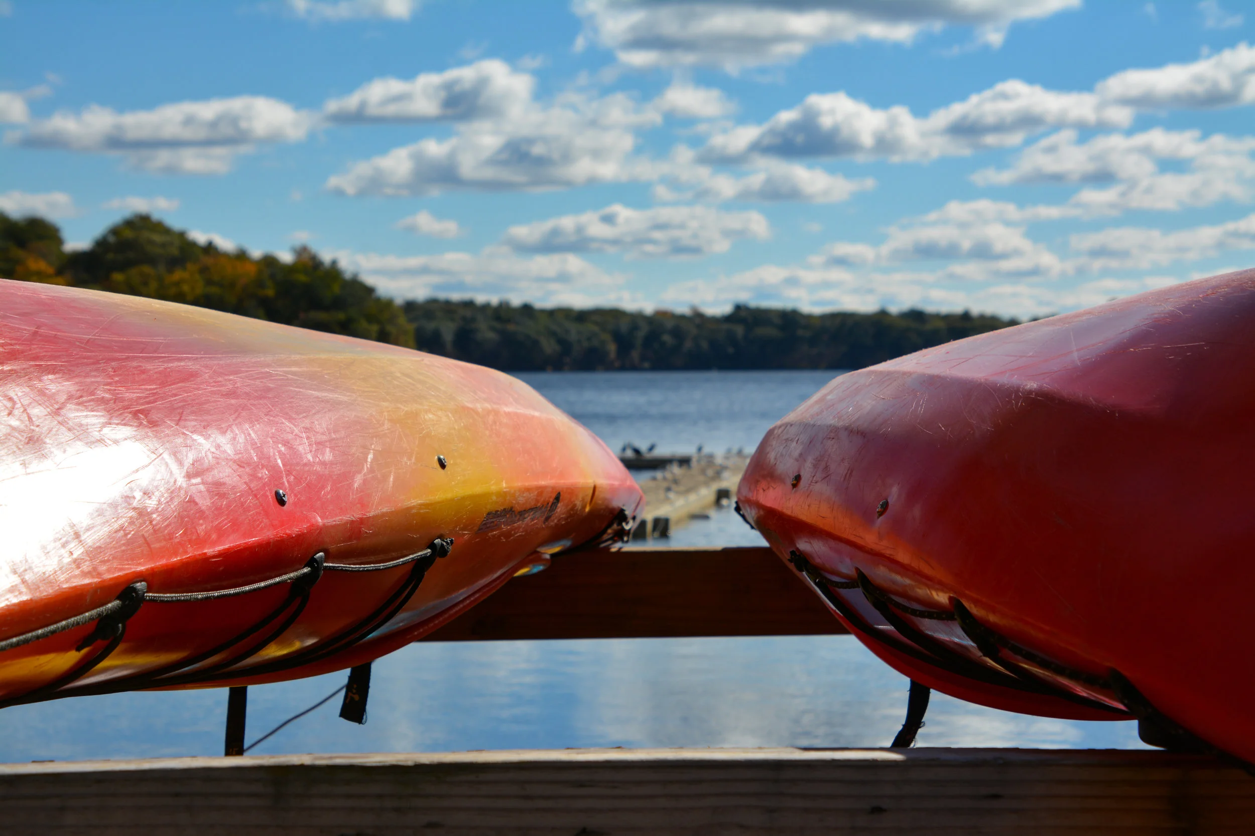 Canoe See the Beauty