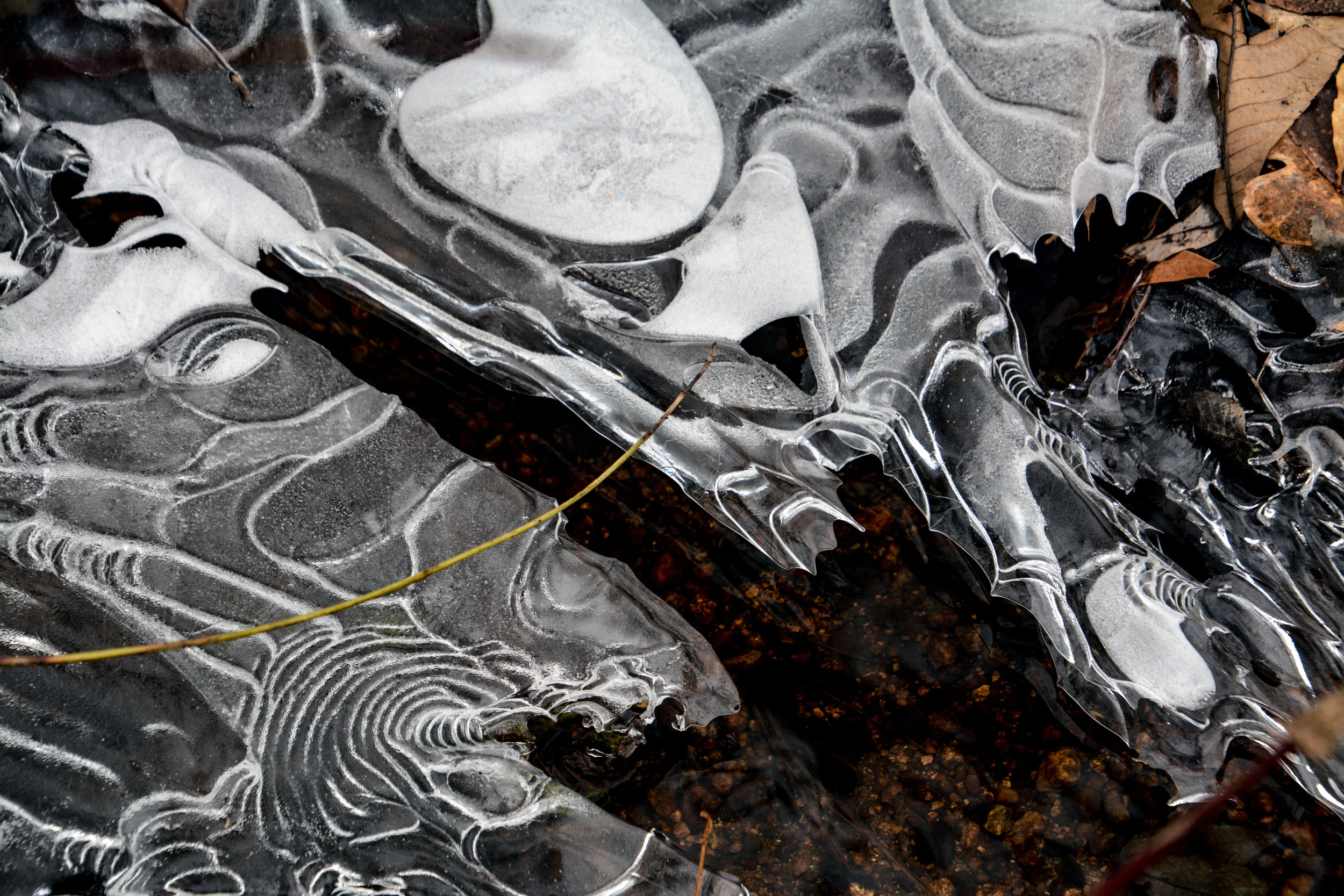 Texture