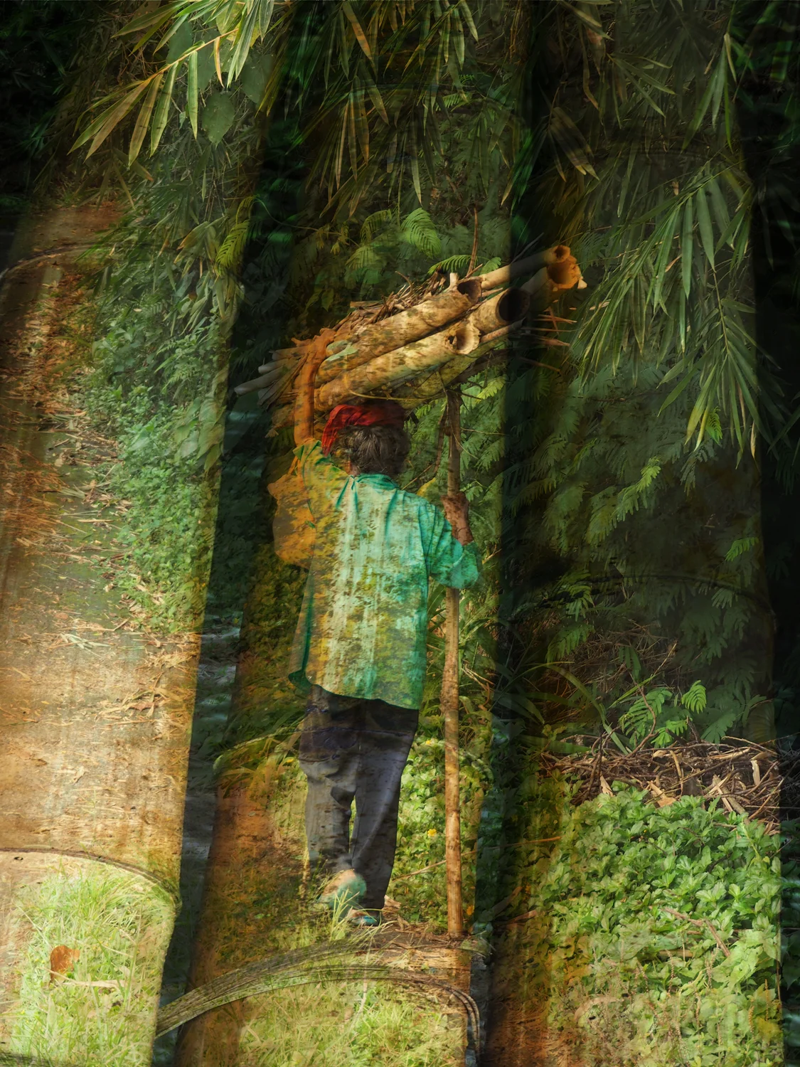BAMBOO WOMAN .jpg