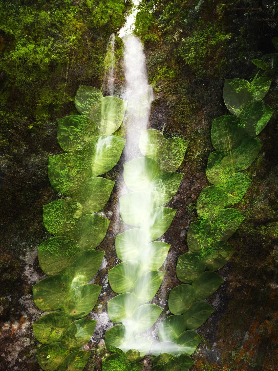 GREEN WATERFALL .jpg