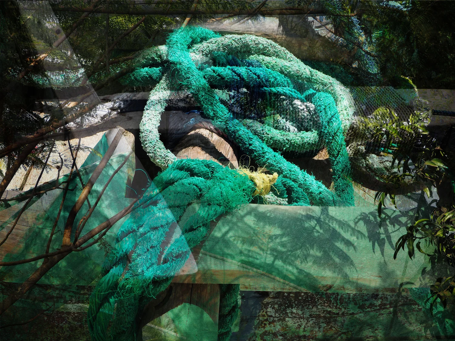 TURQUOISE KNOT.jpg