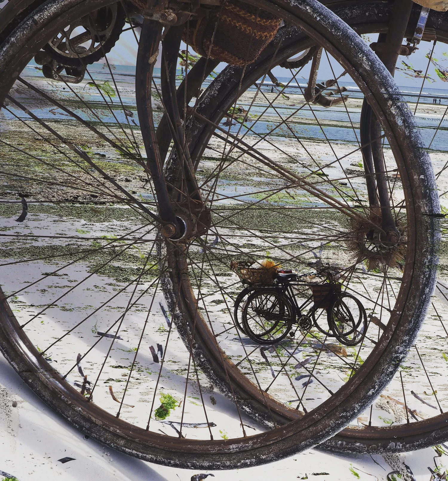 VINTAGE BICYLES BY THE SEA.jpg