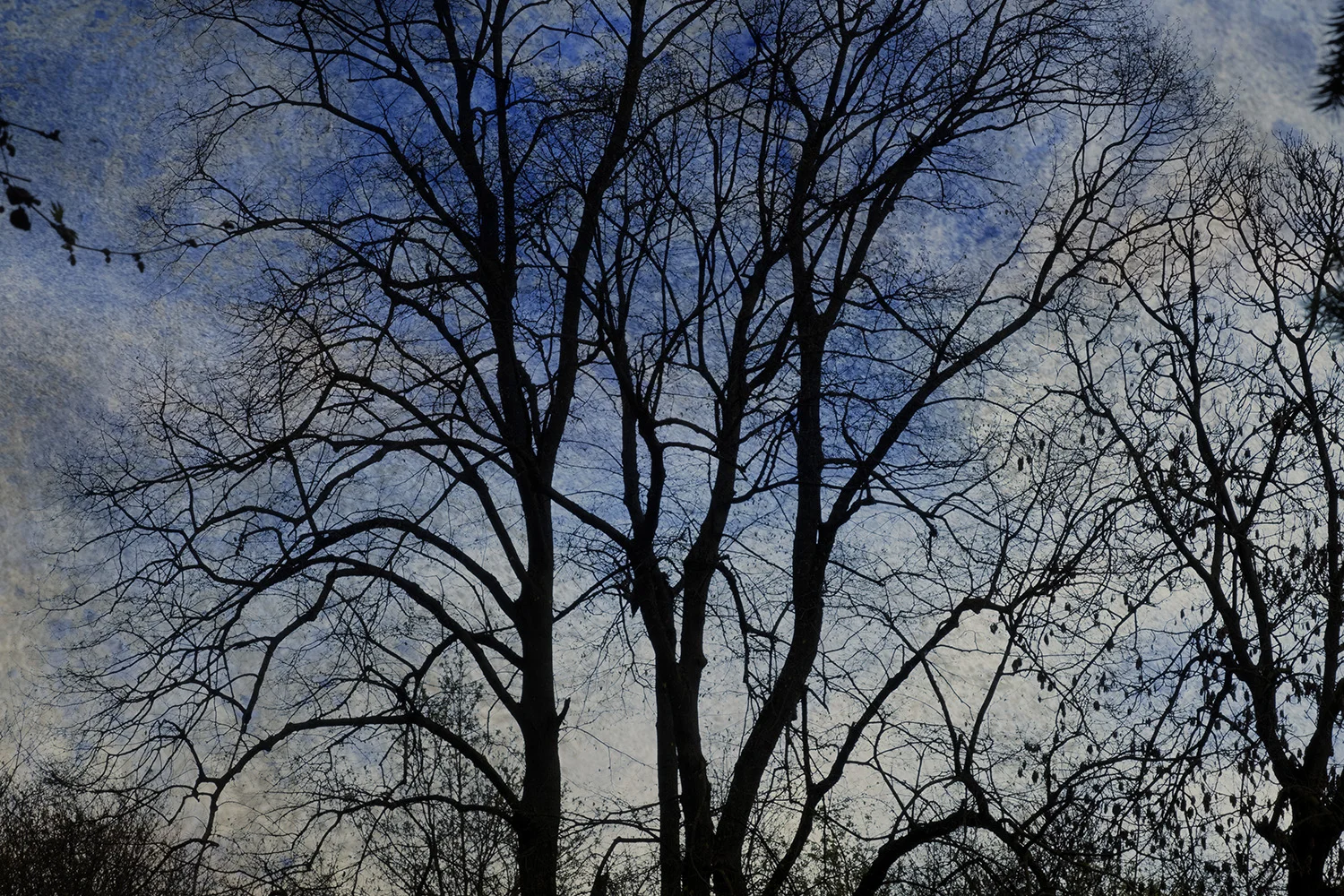 L'HEURE BLEUE SITE.jpg