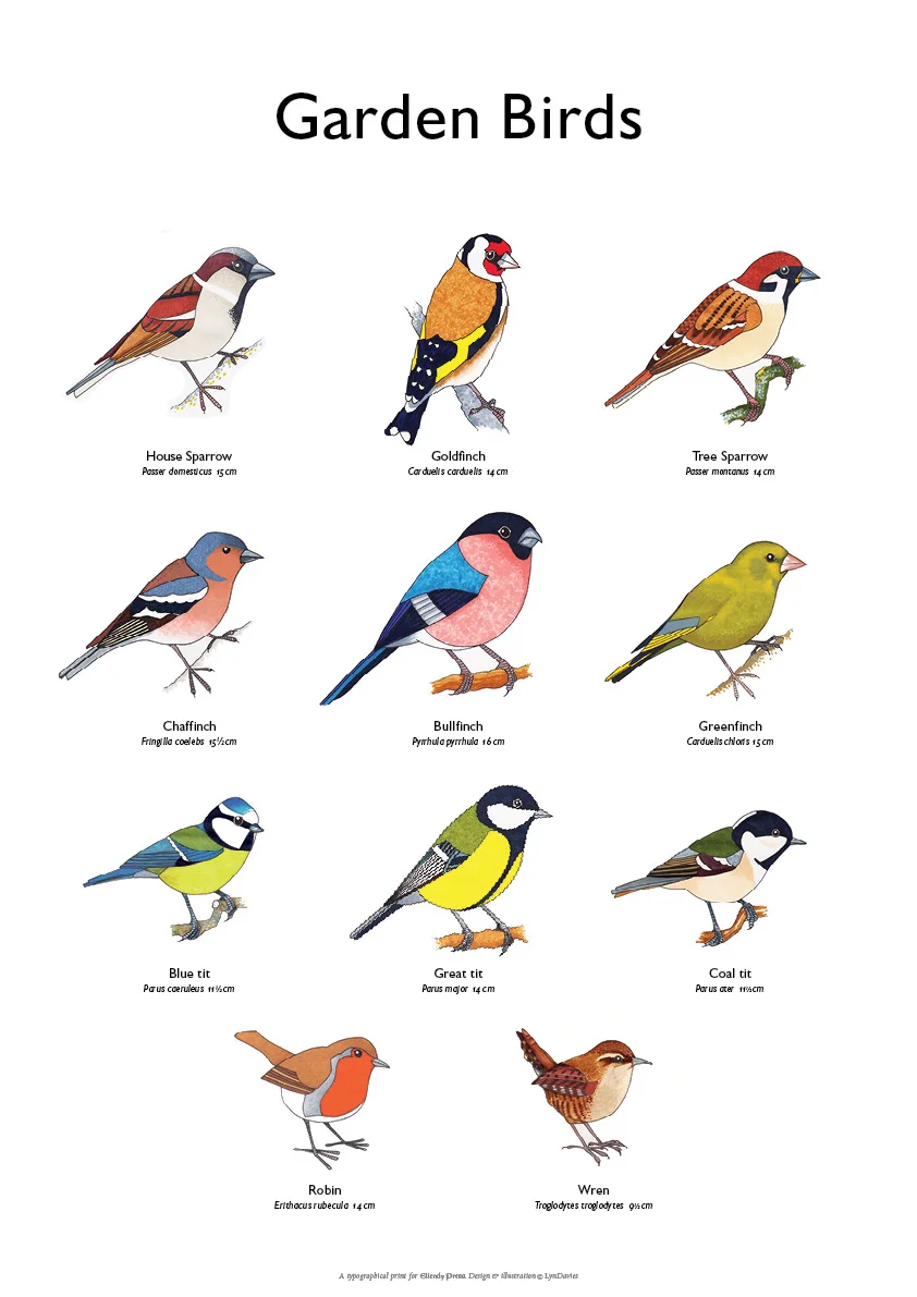 BritishBirds_Garden.jpg