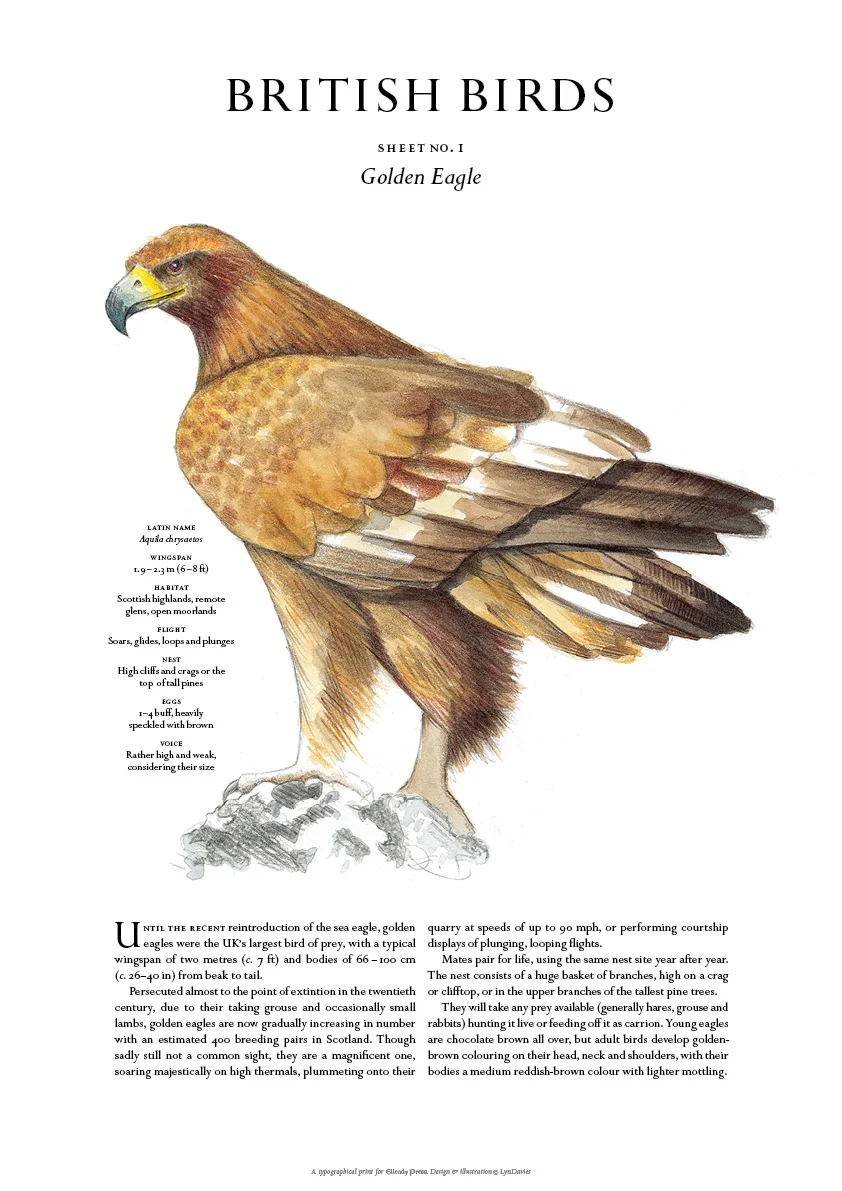 BritishBirds_GoldenEagle.jpg
