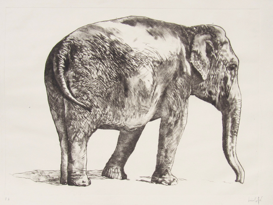 Elephant