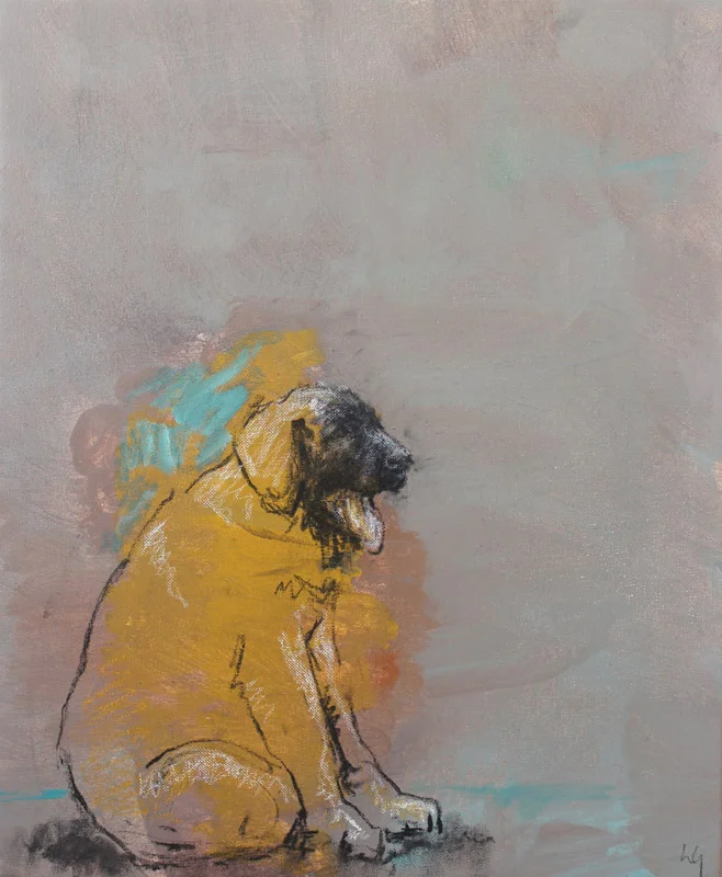 Gran Perro Amarillo