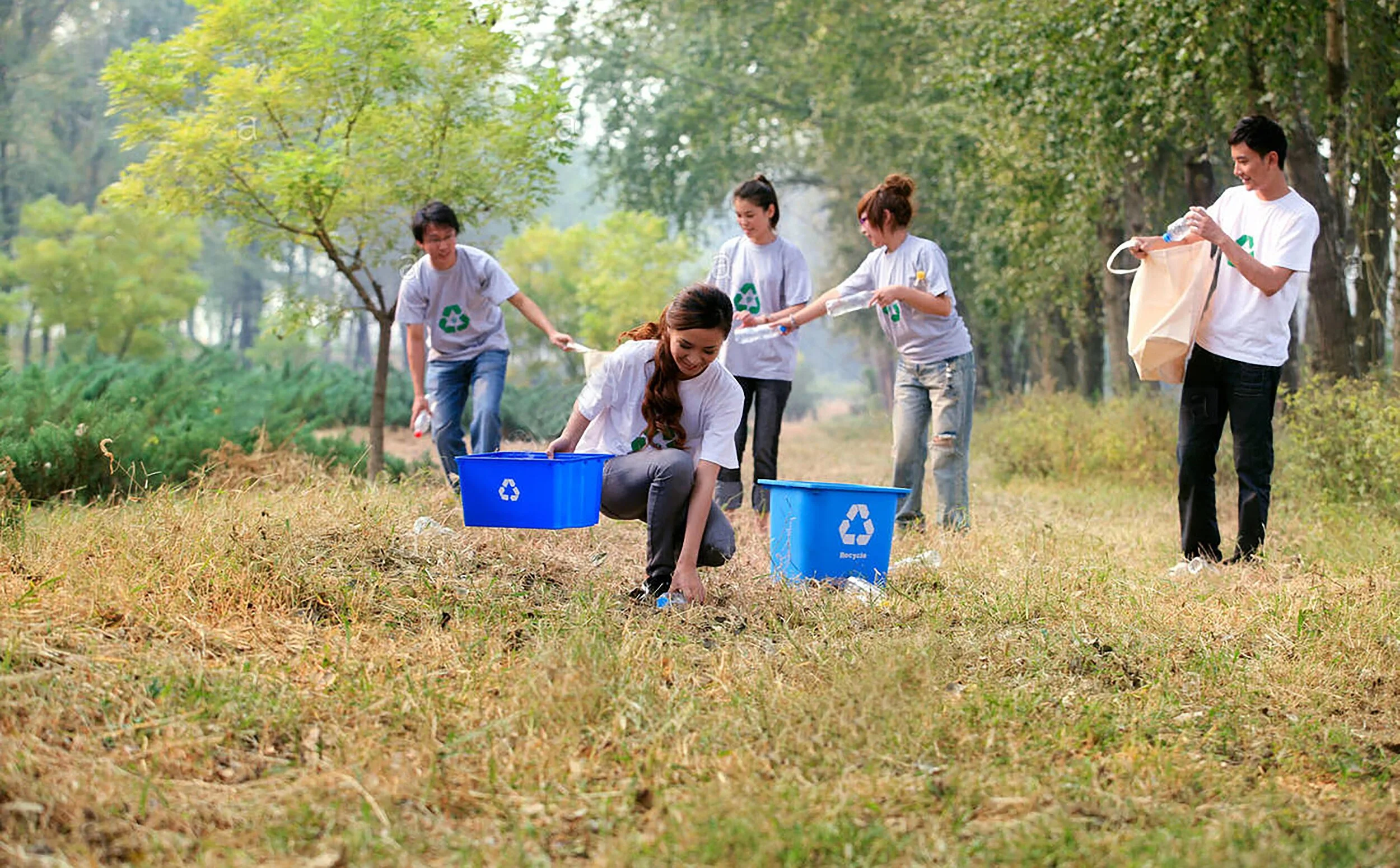 City of Waterloo Cleanup