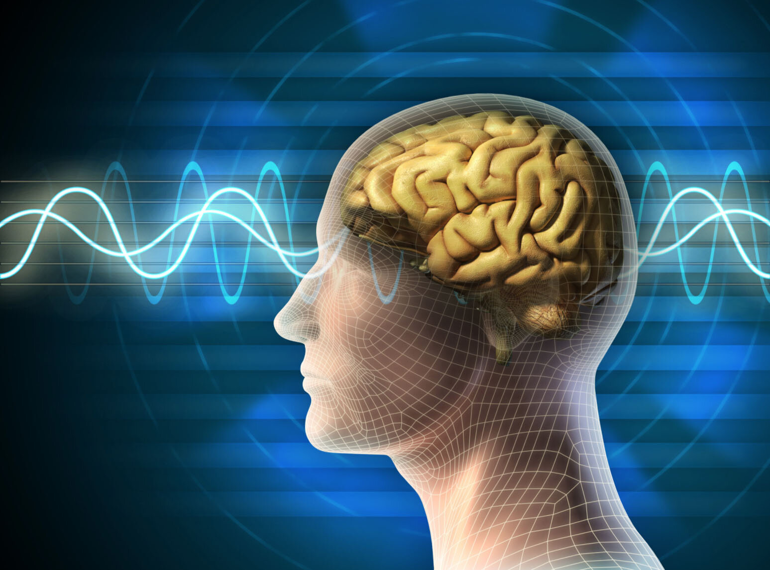 How light therapy helps the brain — Lucid Aging