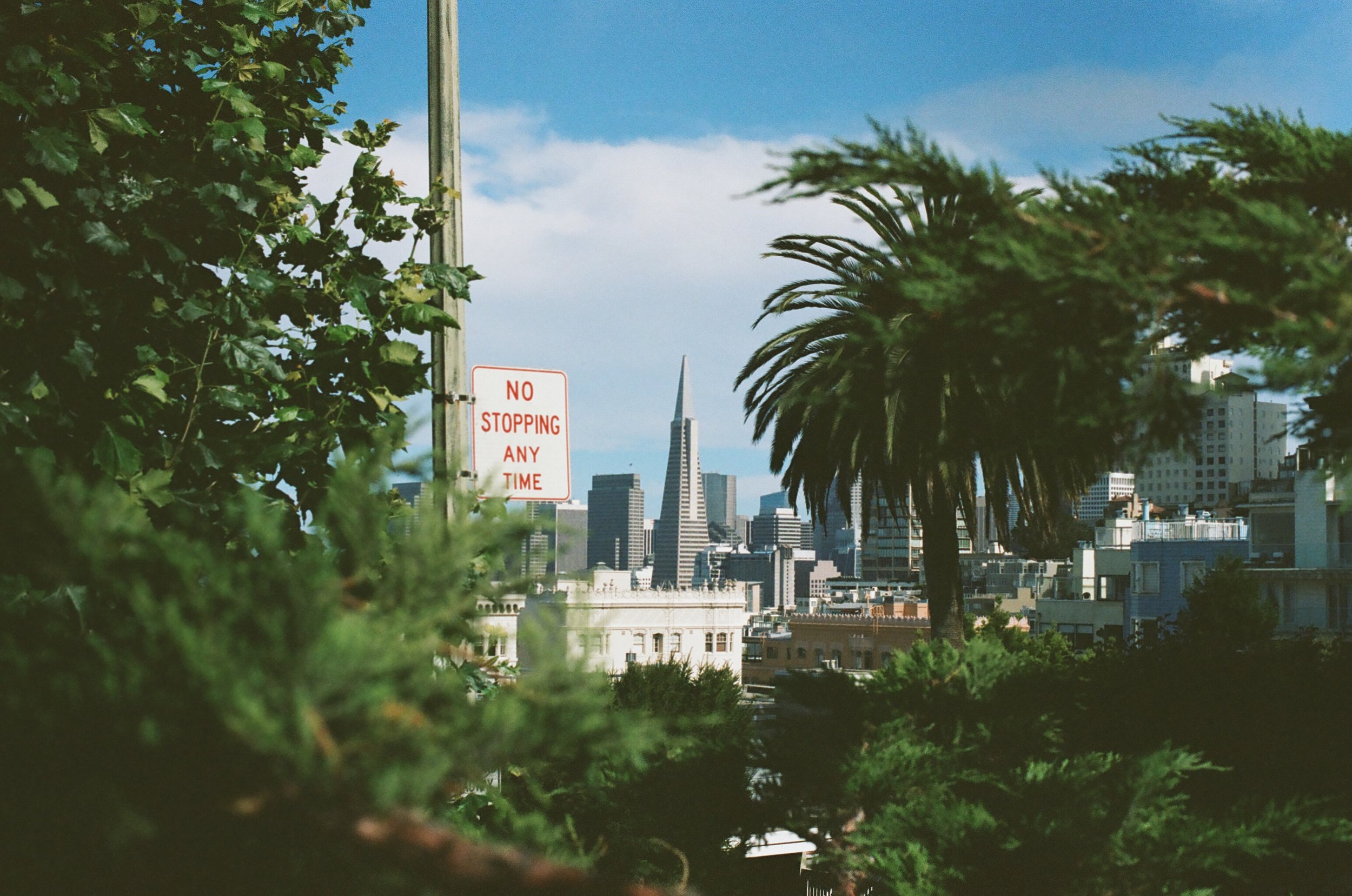 0010_27120127.jpg