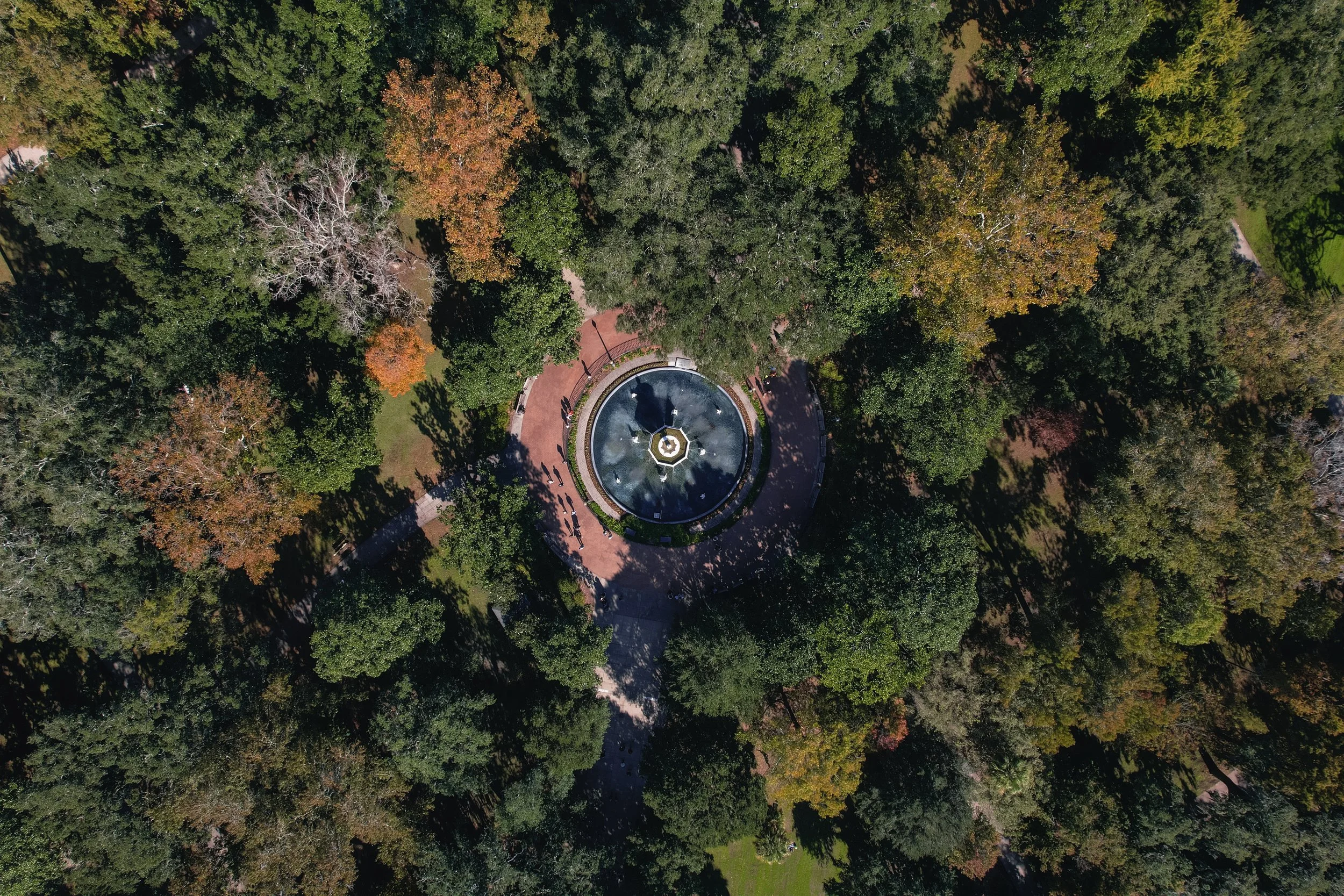 DJI_0525.jpg