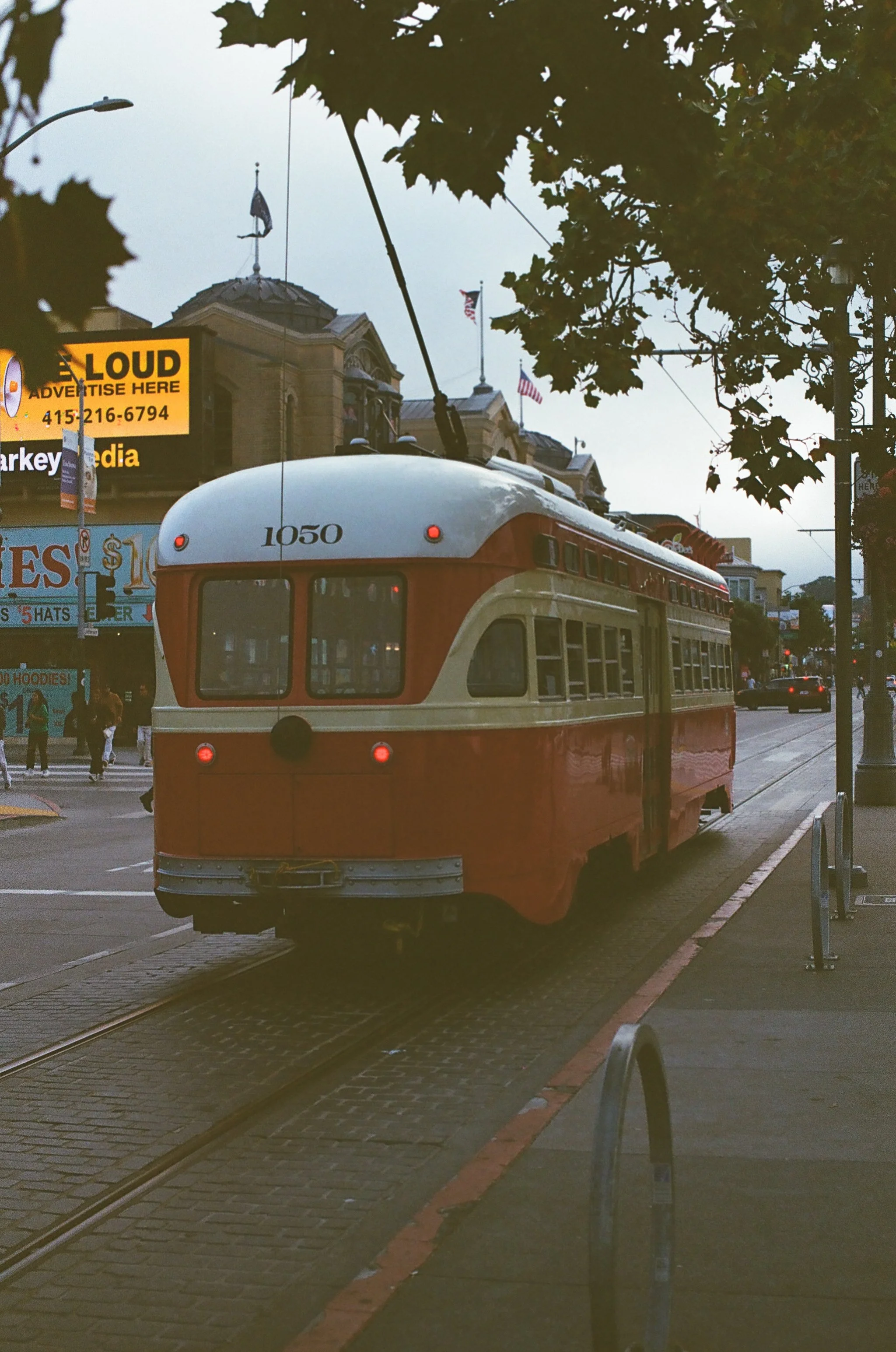 3029_8120127.jpg
