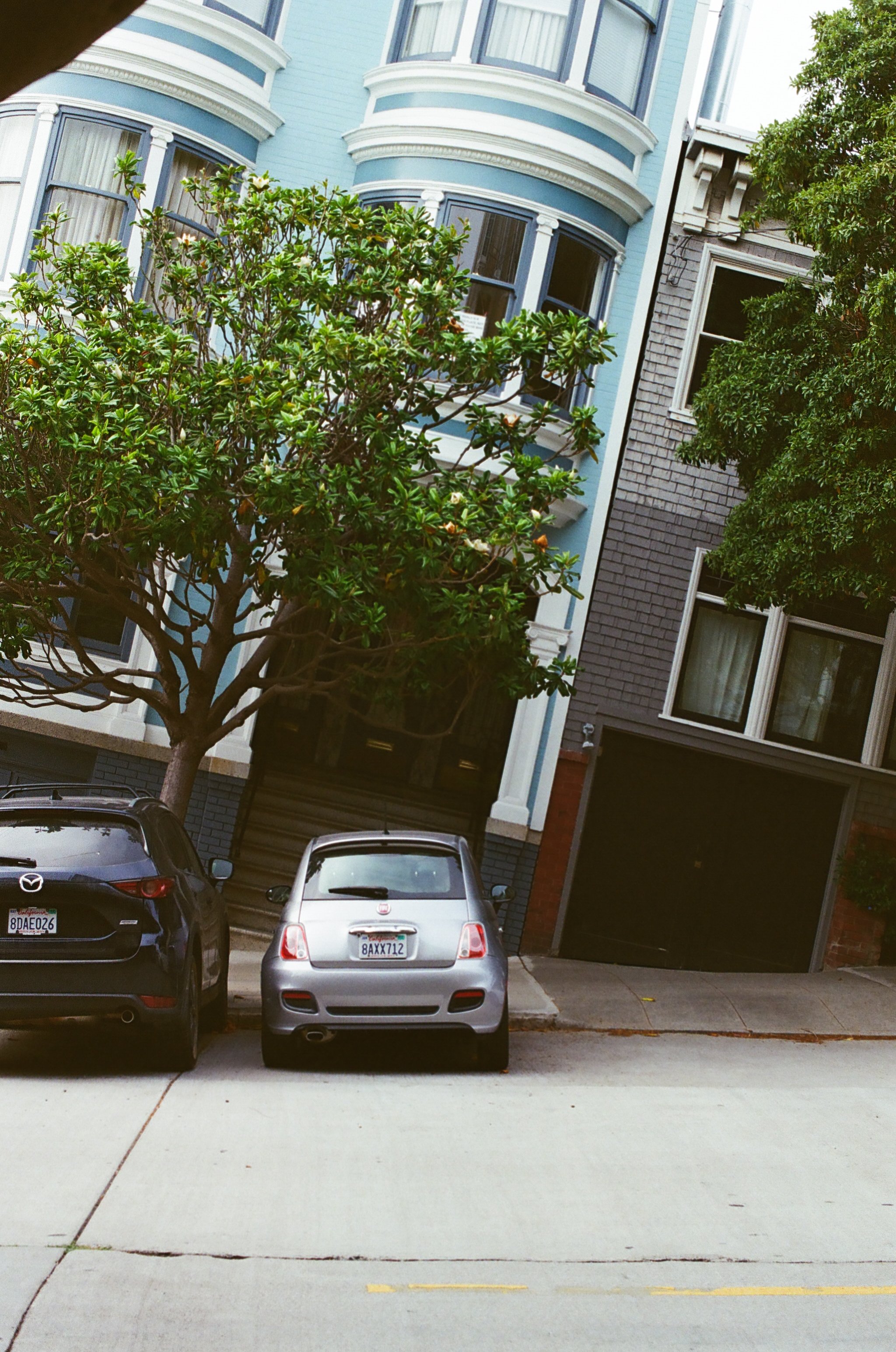 3036_1120127.jpg