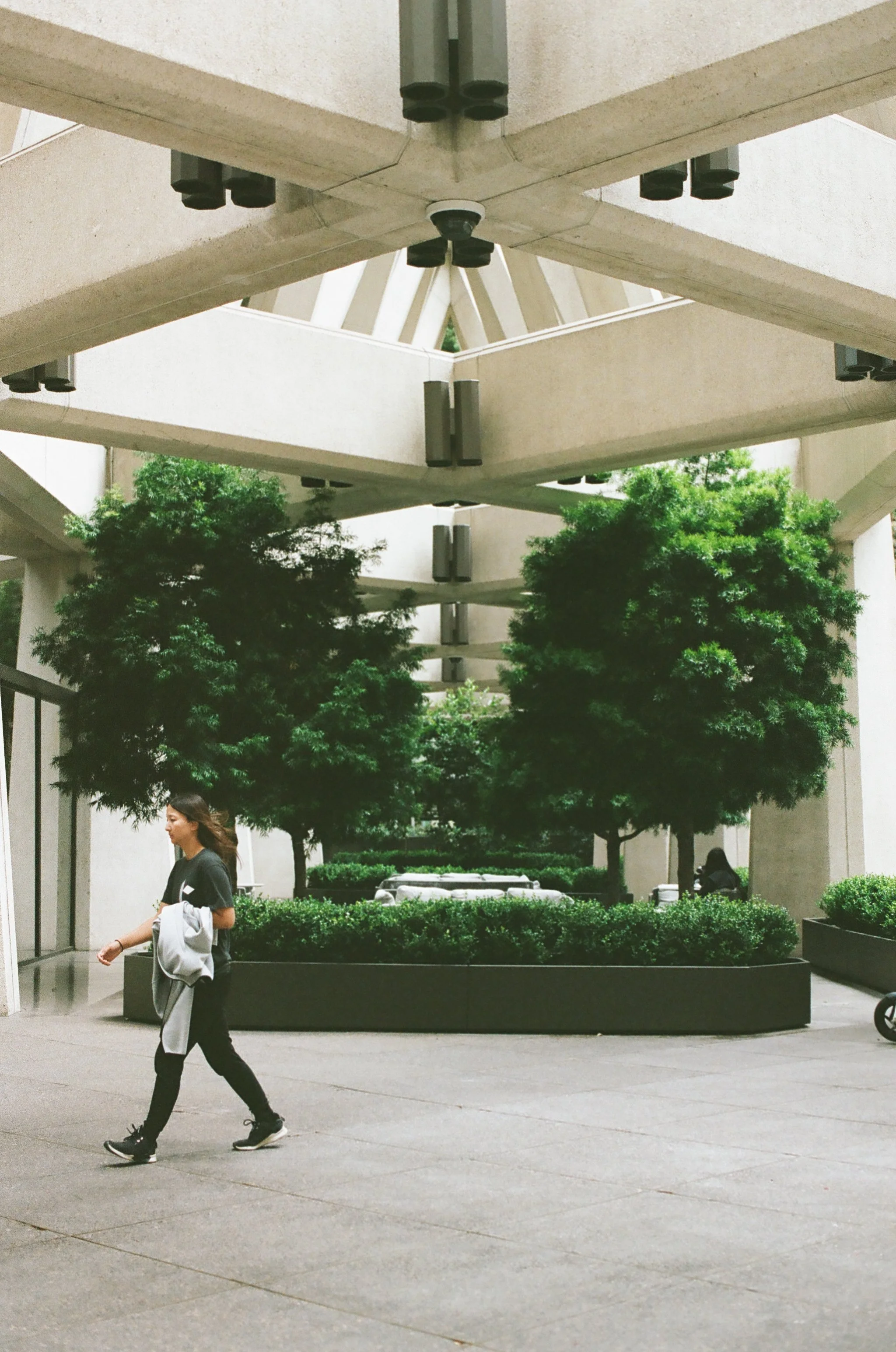 0029_8120127.jpg