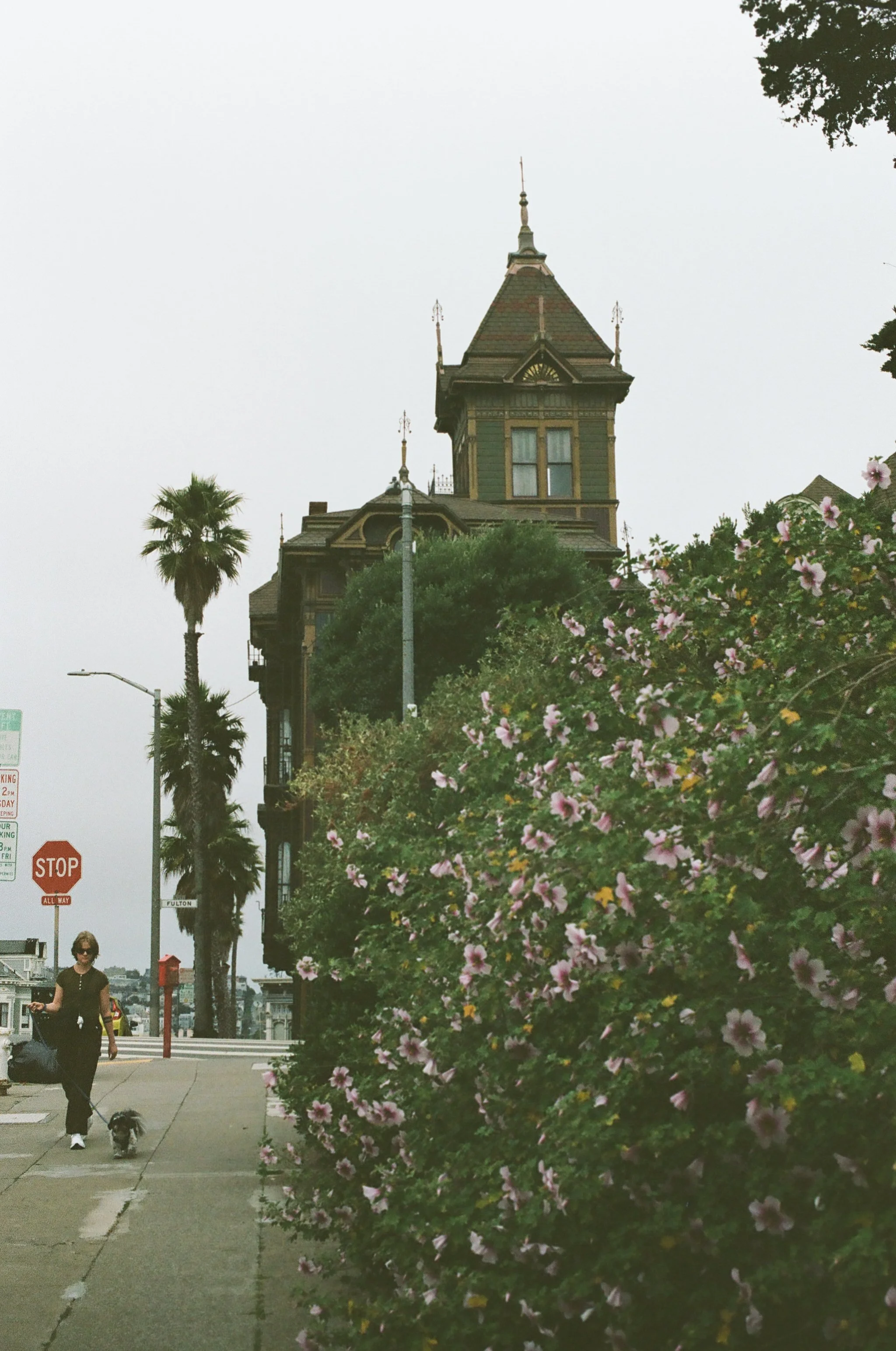 0028_9120127.jpg