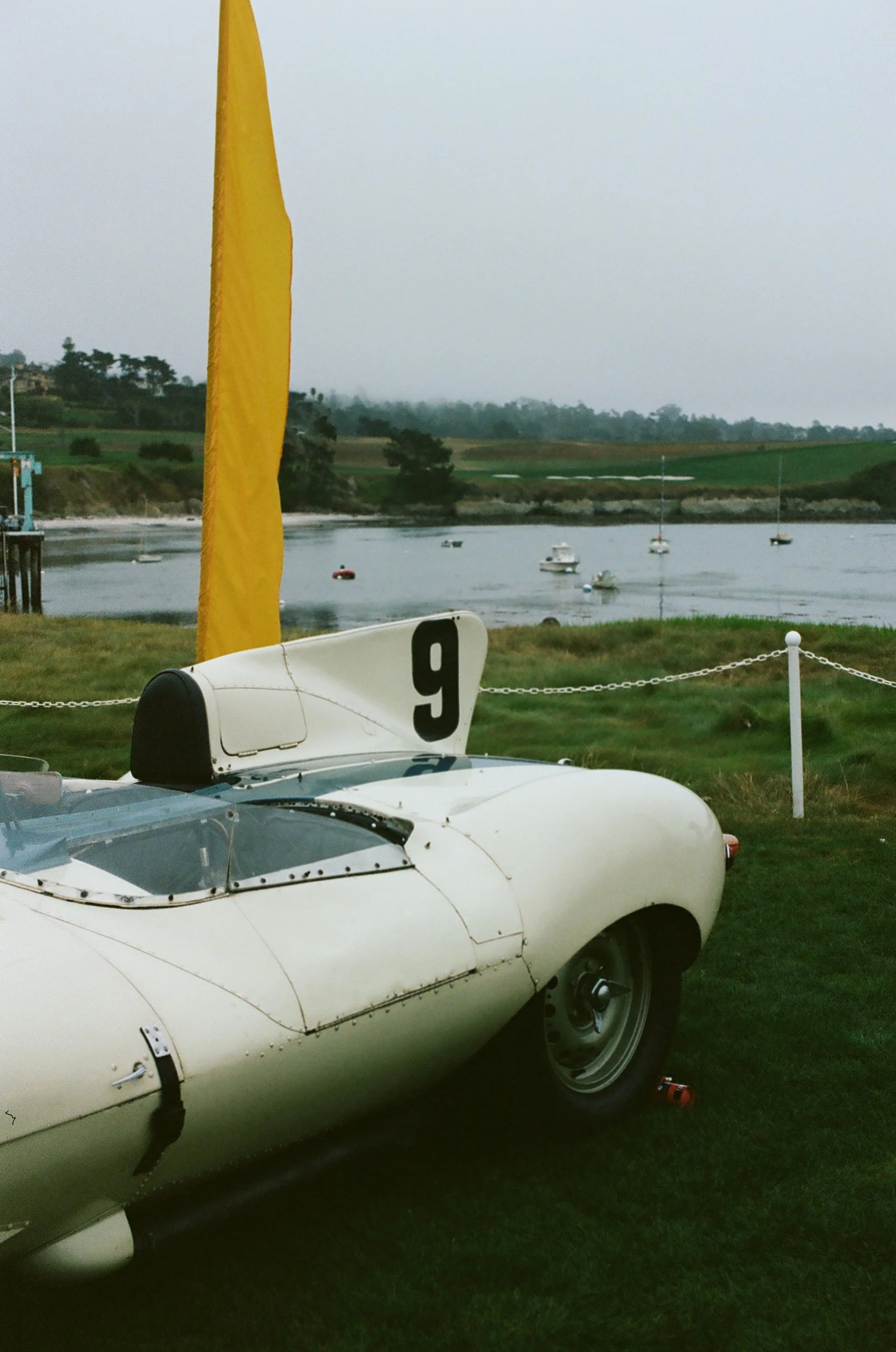 6031_6120127.jpg