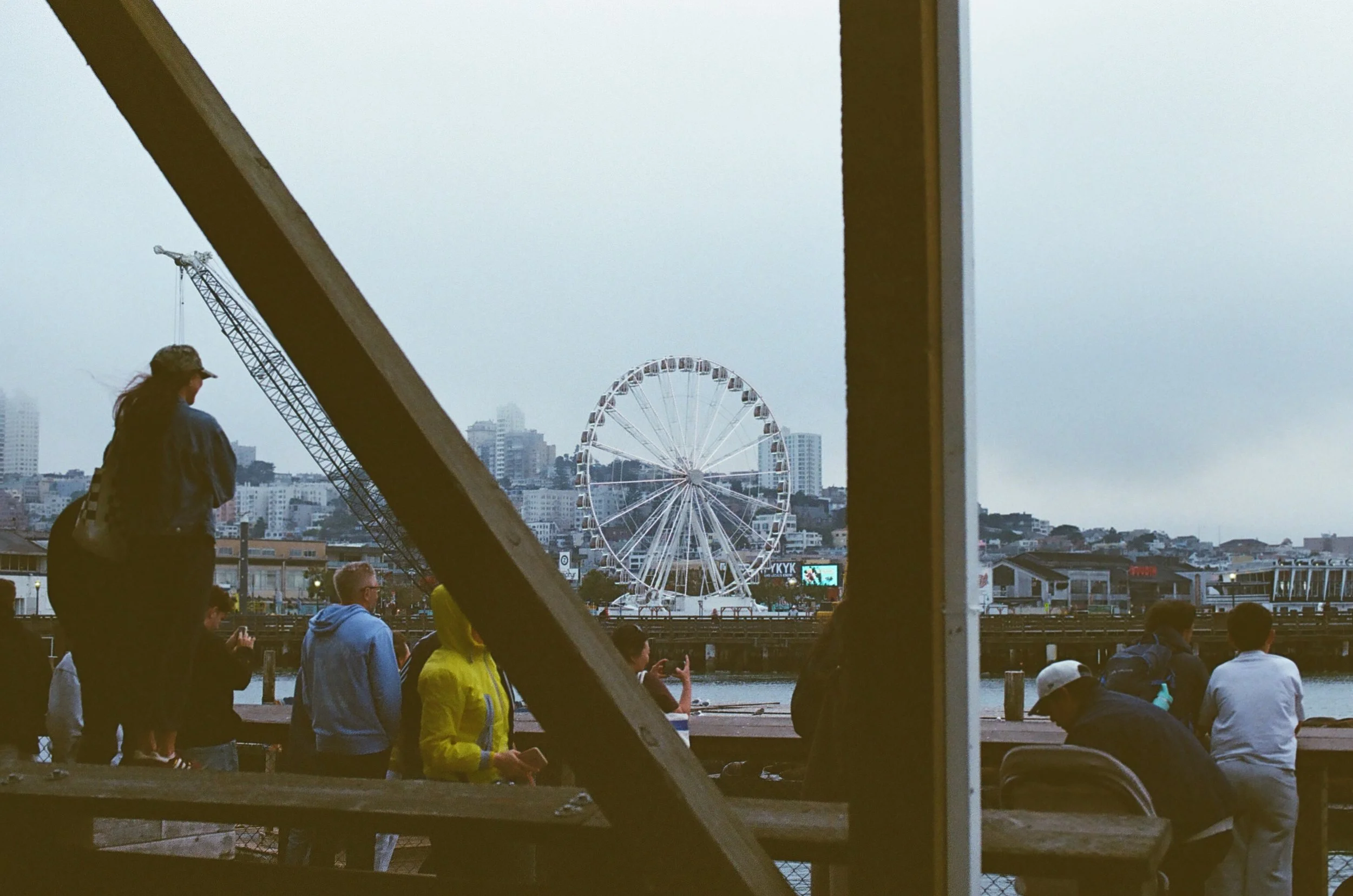 3009_28120127.jpg