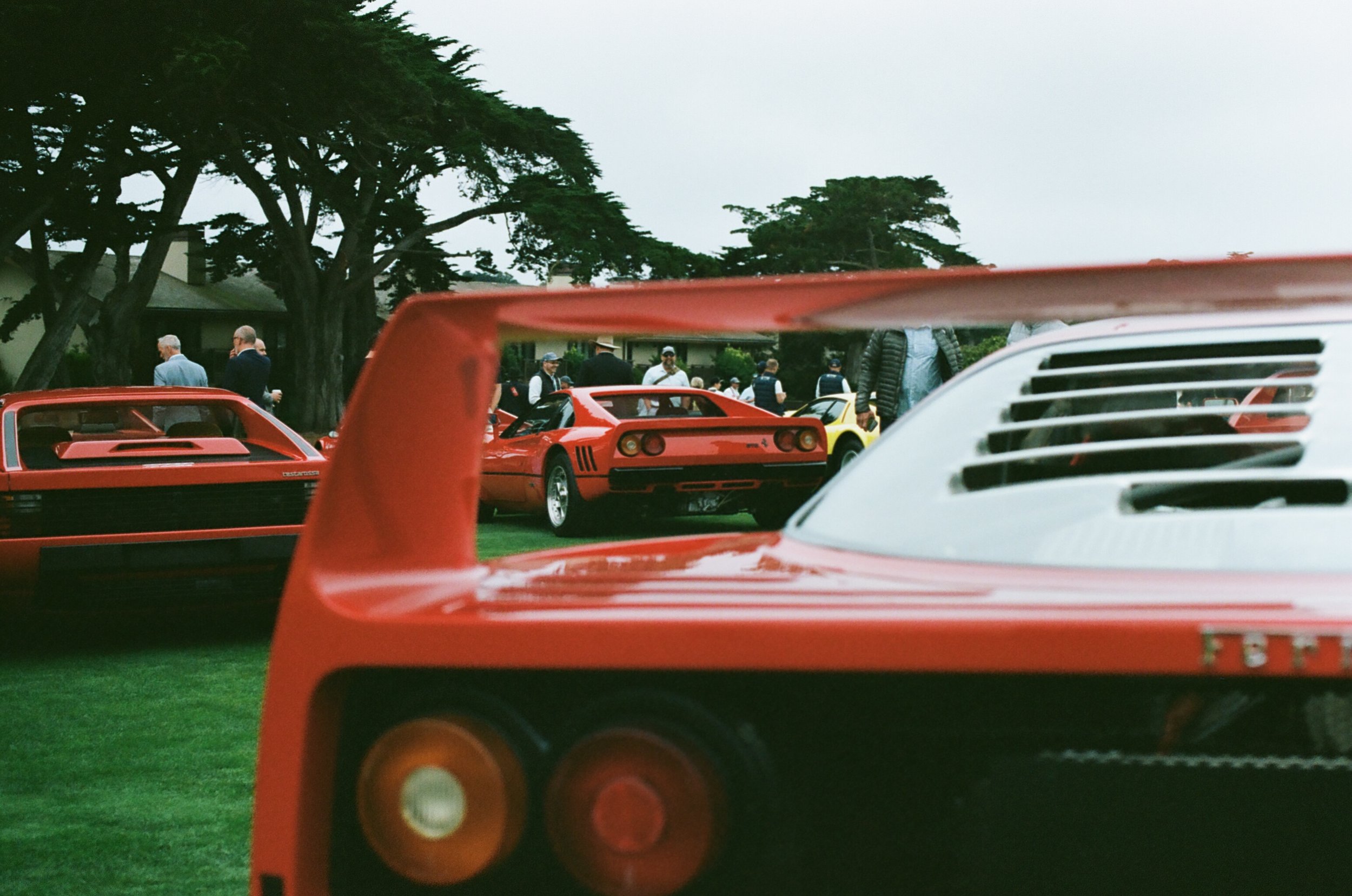 6011_26120127.jpg