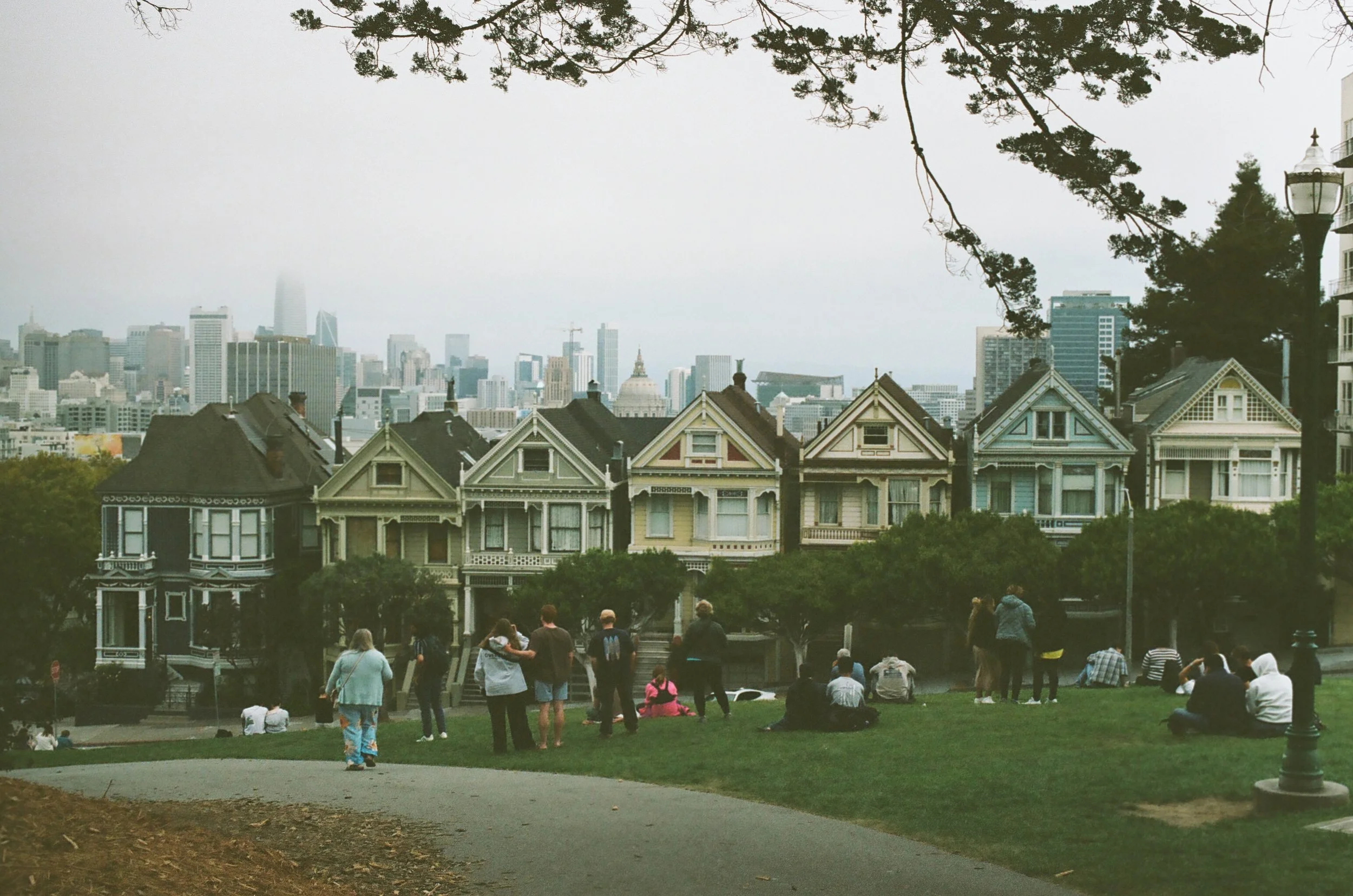 0025_12120127.jpg