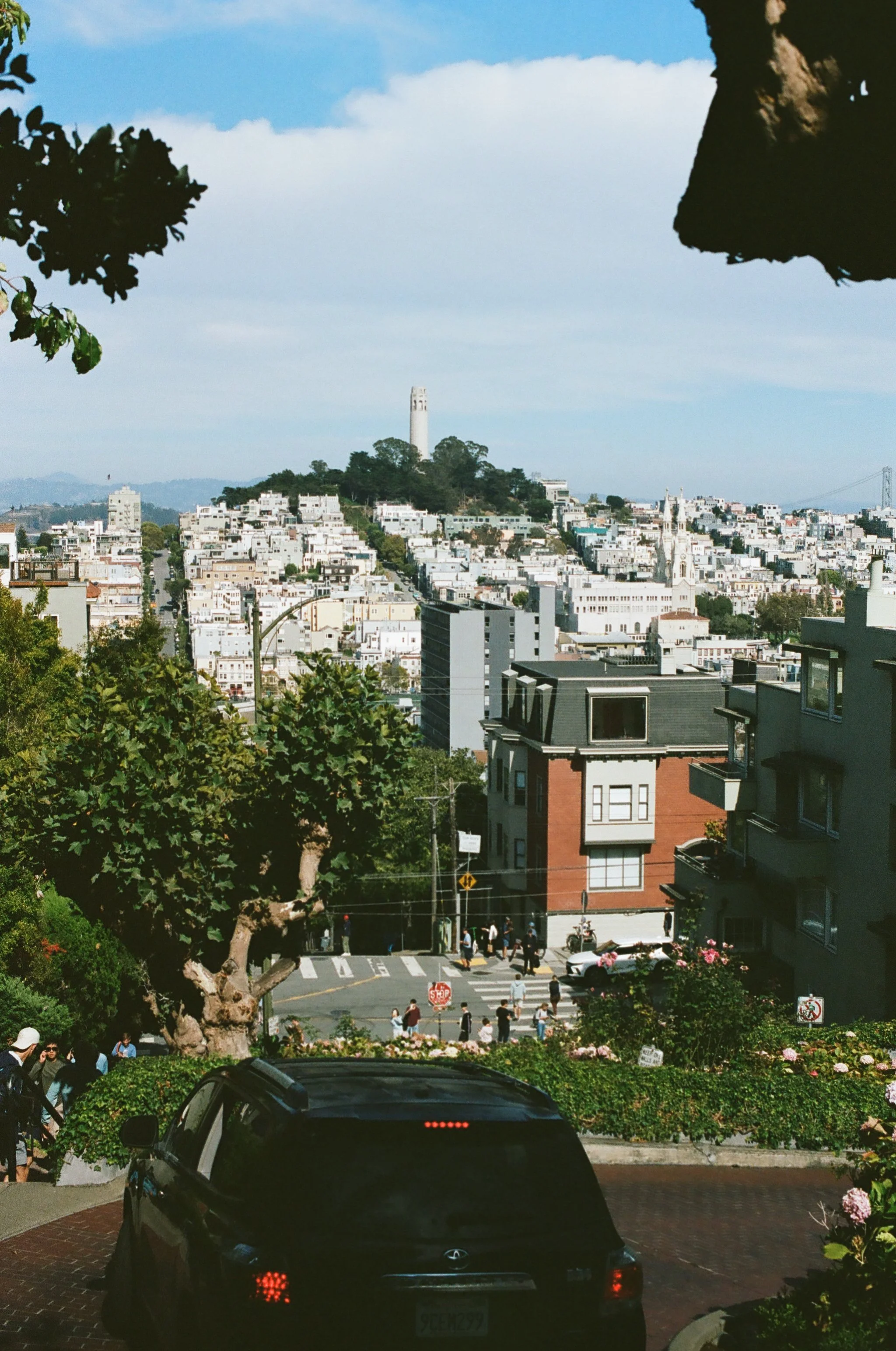0008_29120127.jpg