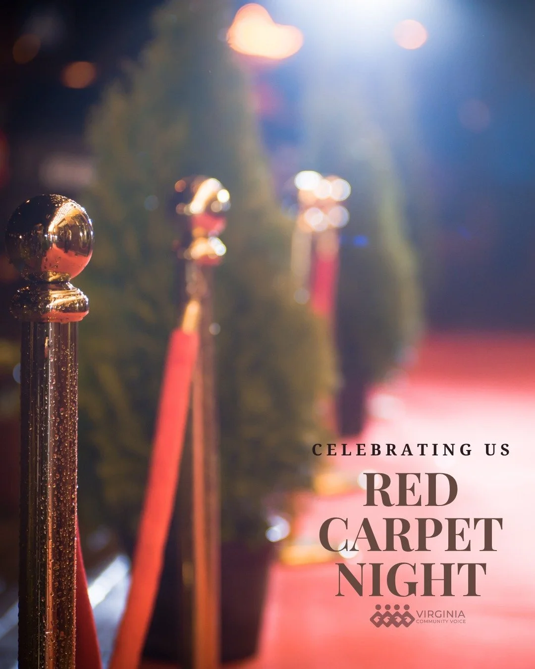 We walked the red carpet last night! It was a night to celebrate, honor, and recognize the incredible work we&rsquo;ve done together this year.

VACV shines because each of us has chosen to share our time, values, and energy in the fight for communit