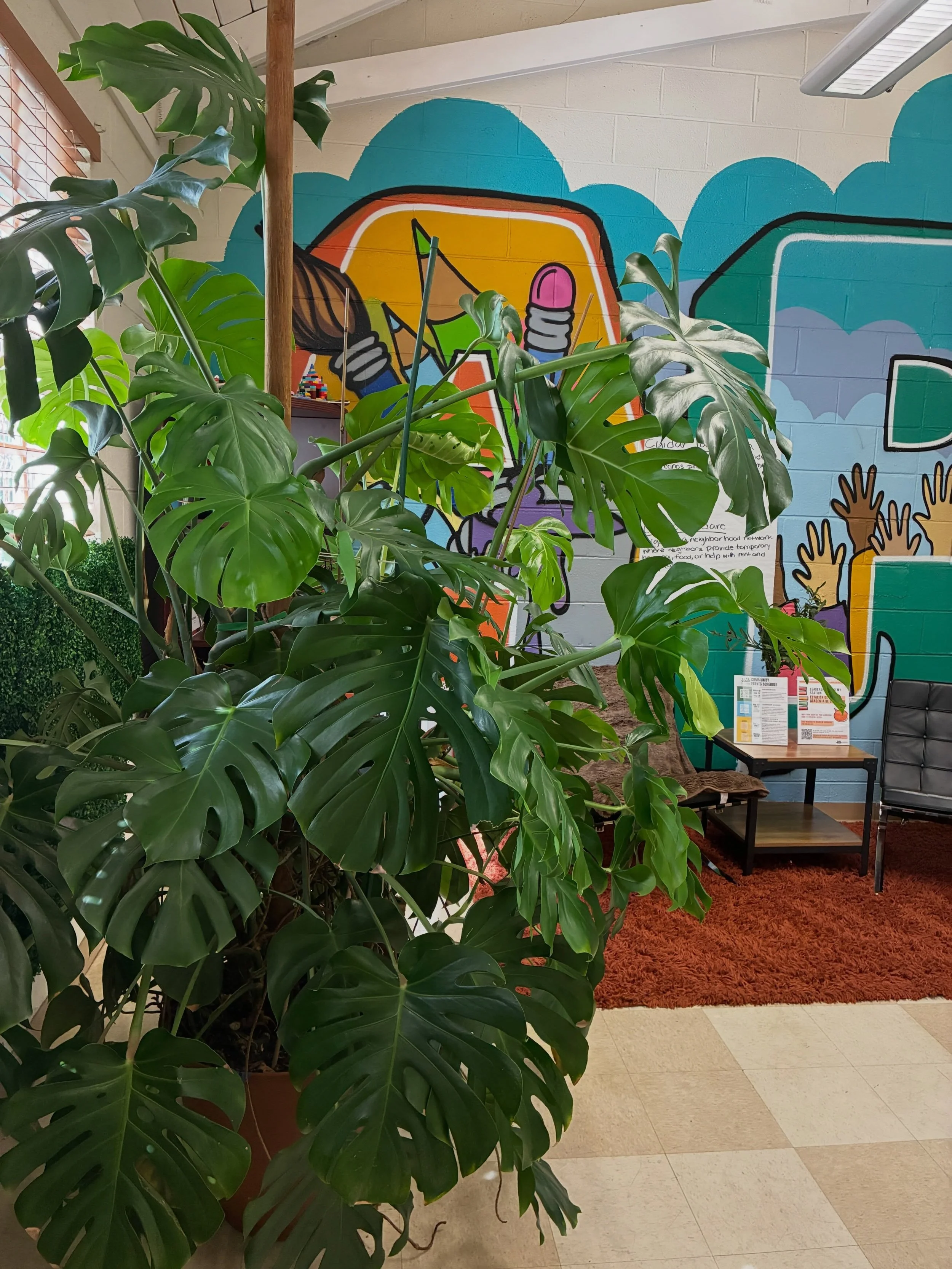 This beauty lives in our office. 💚
#healingenergy