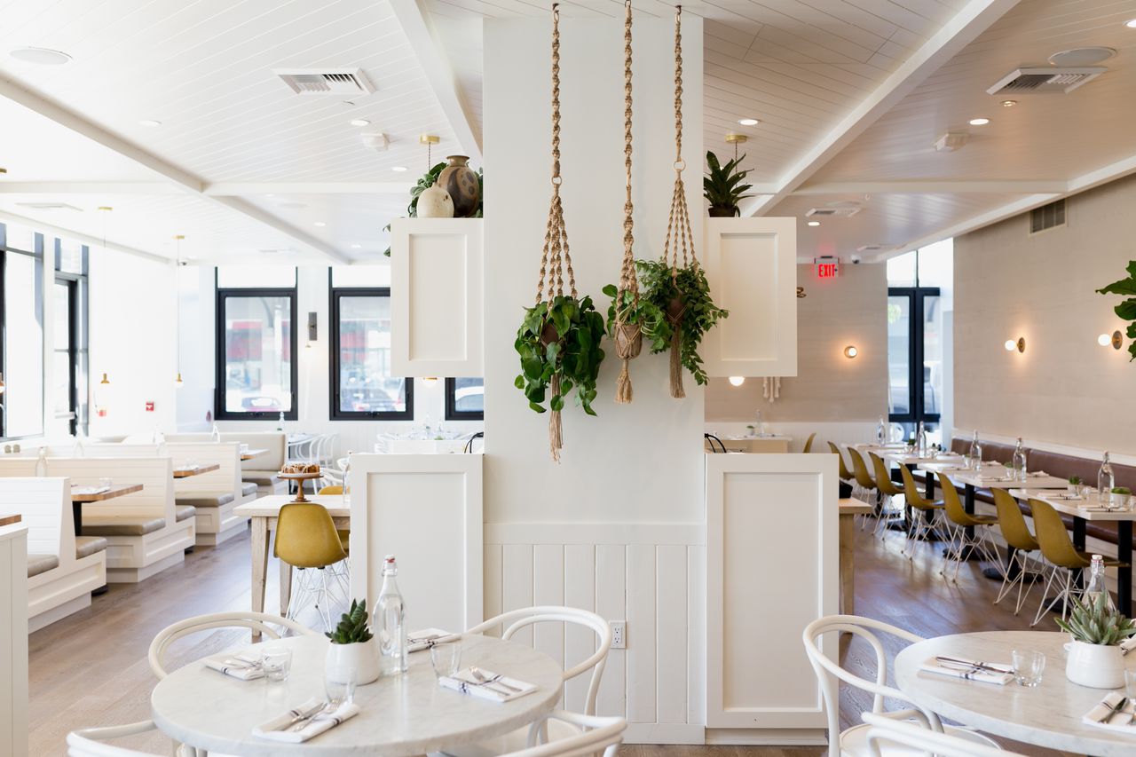 Hanging+plants+-+Cafe+Gratitude+Arts+District+-+Wendy+Haworth+Design+Studio.jpeg
