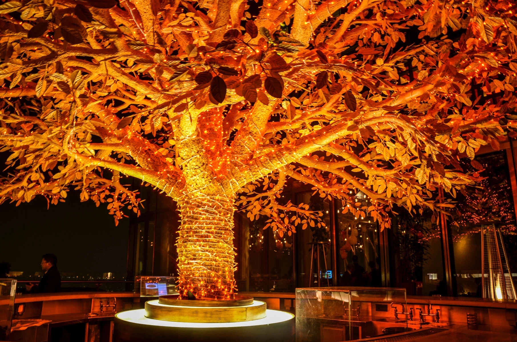 Sushi-Samba-Tree.jpg