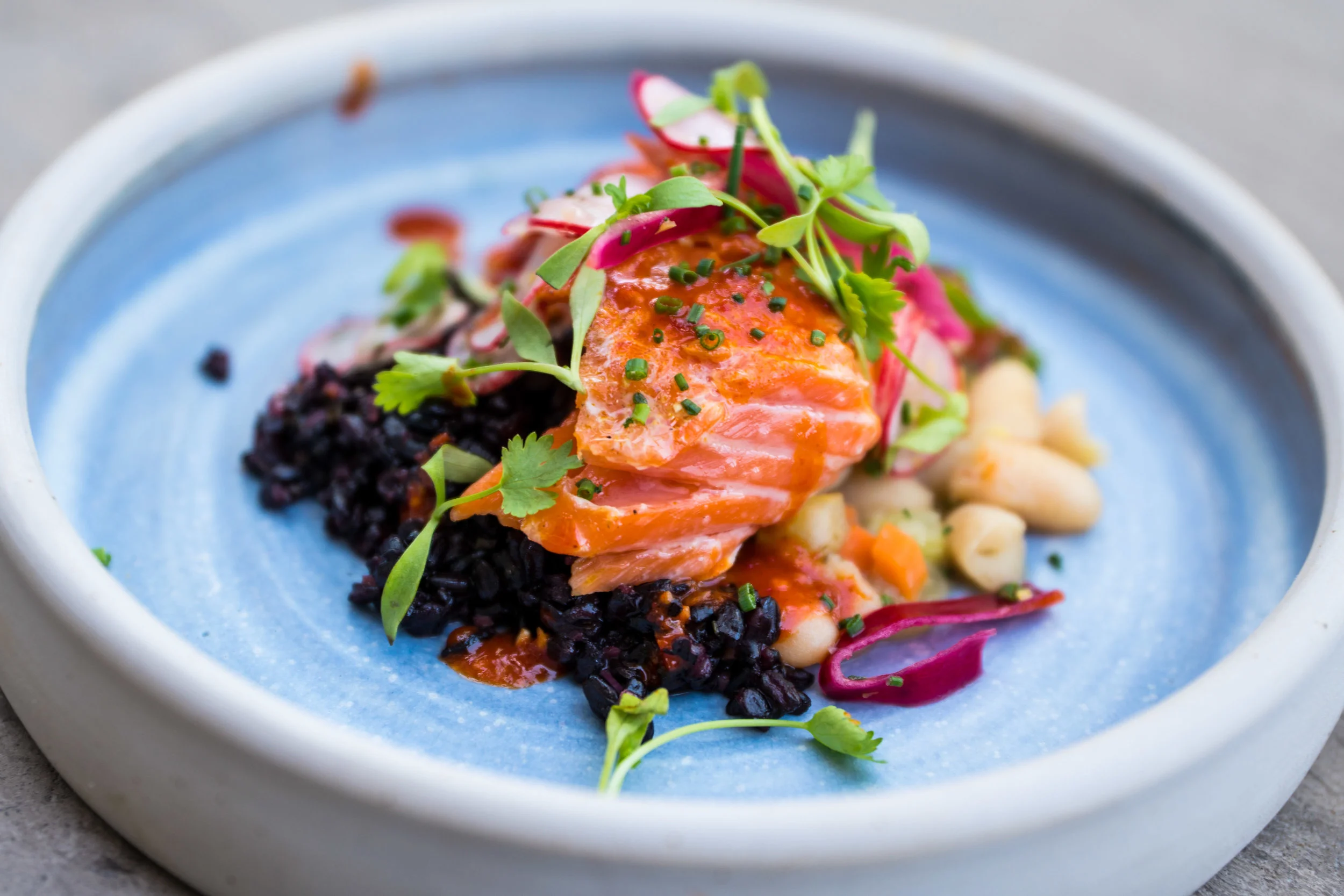 Cured+Ocean+Trout.jpg
