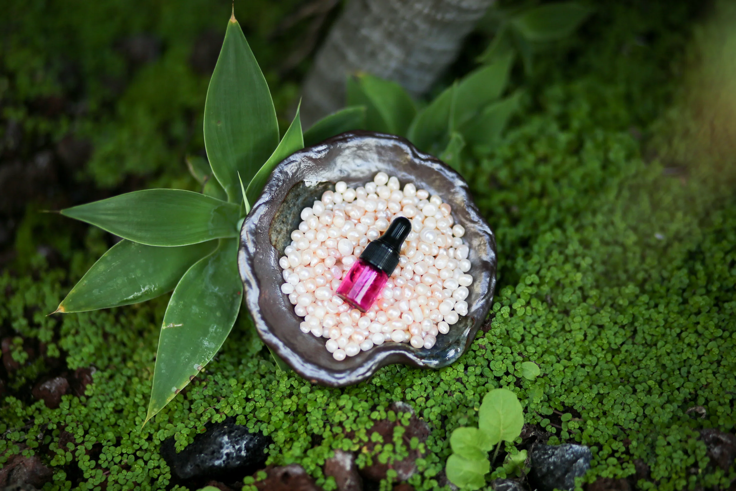 Rose Oil