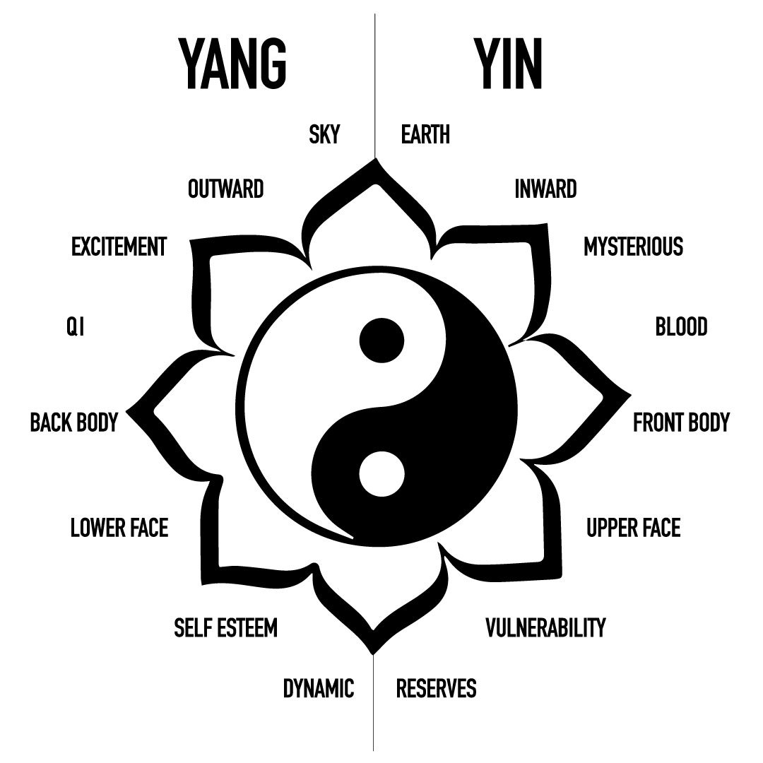 What is Yin and Yang? — Beauty Point by Point