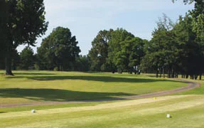 h6-p1.jpg
