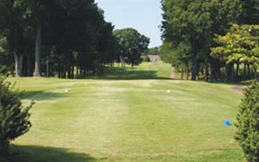 h2-p1.jpg