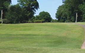 h10-p2.jpg
