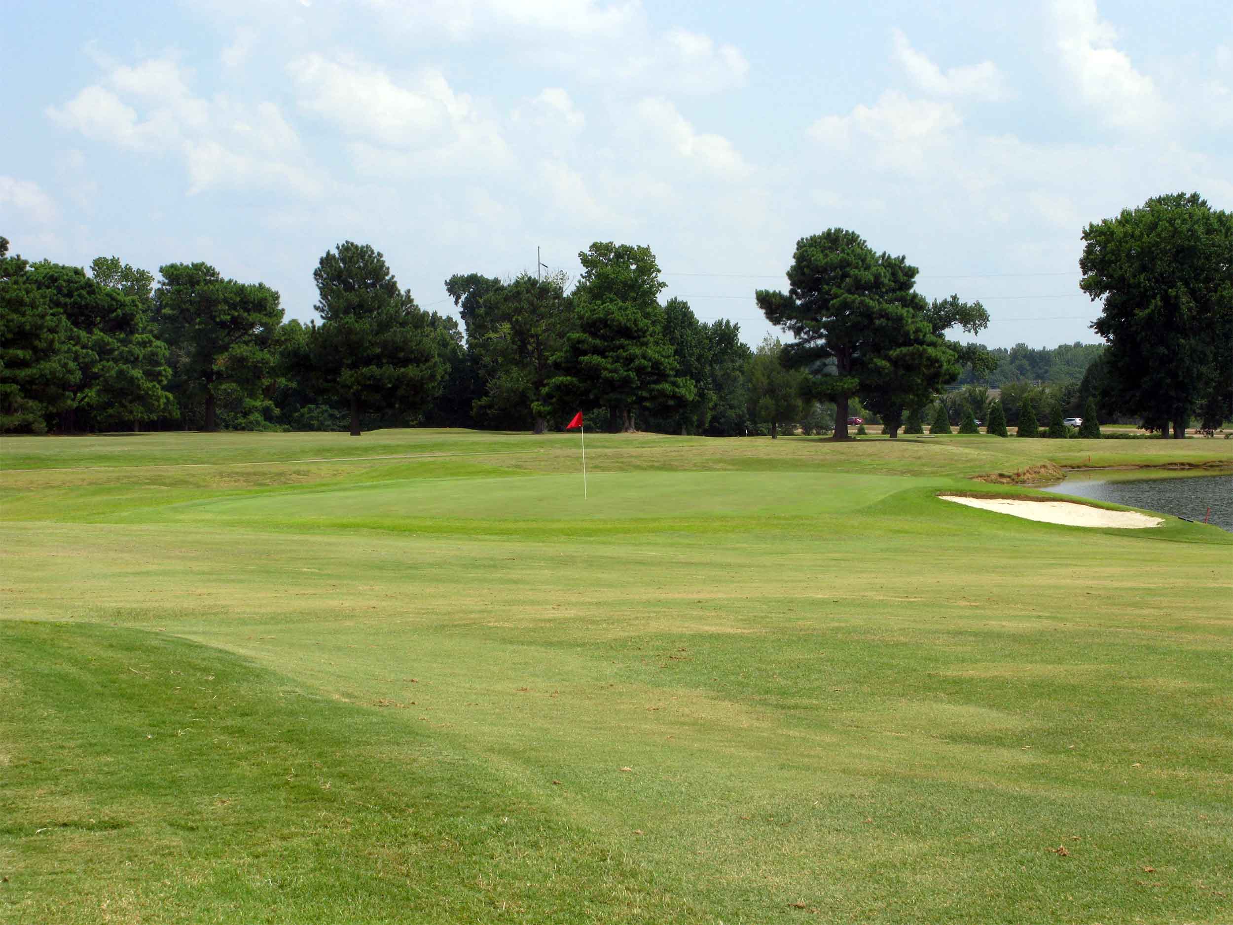 Member Guest