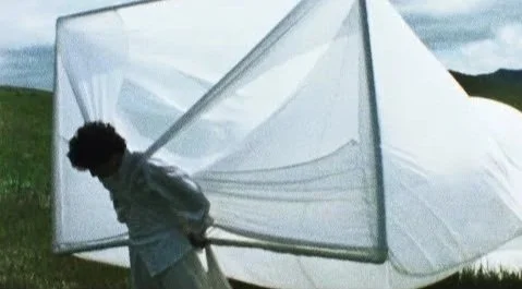 Death by Wind